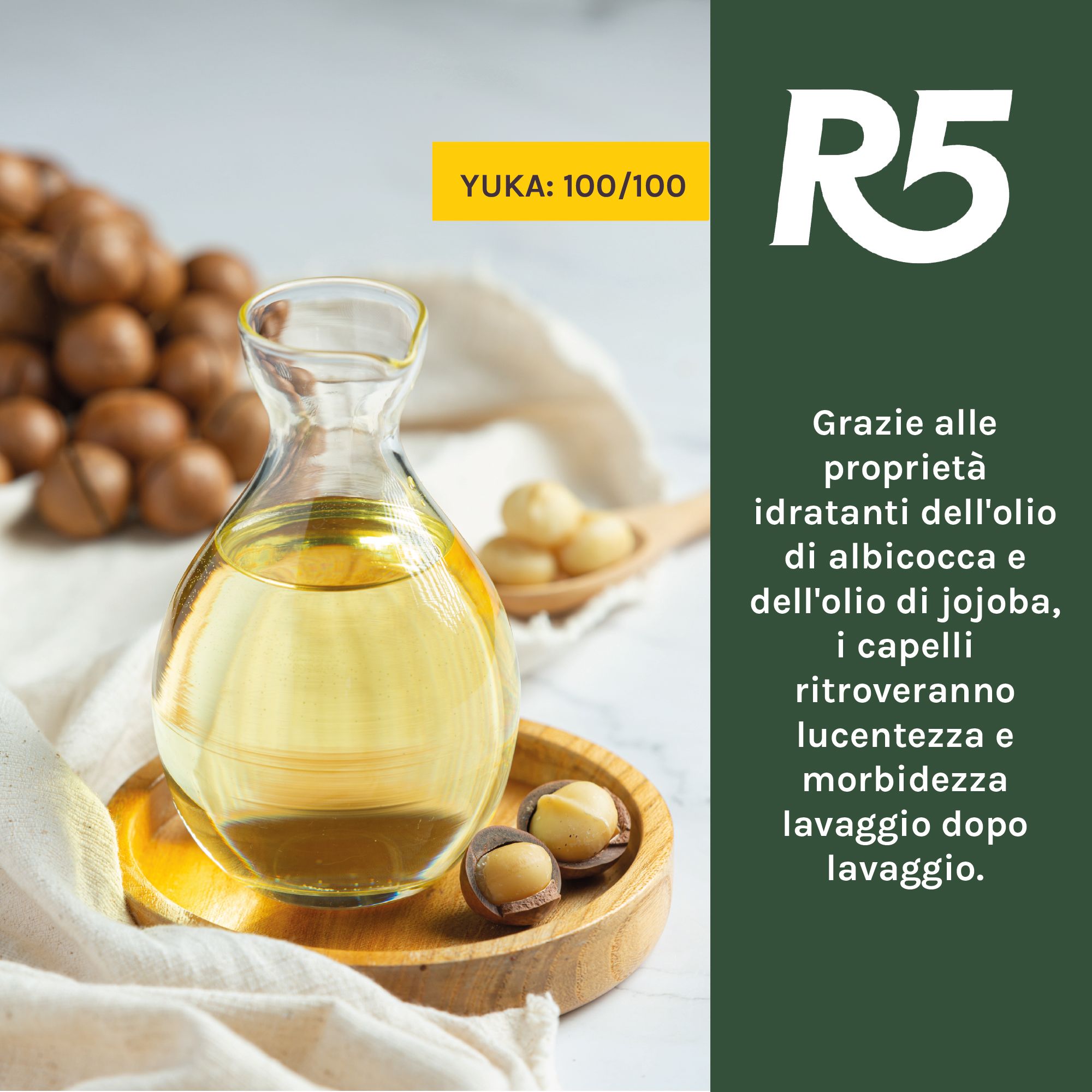 Un bicchiere di olio di nocciolo di albicocca e olio di jojoba accanto a noci di macadamia.