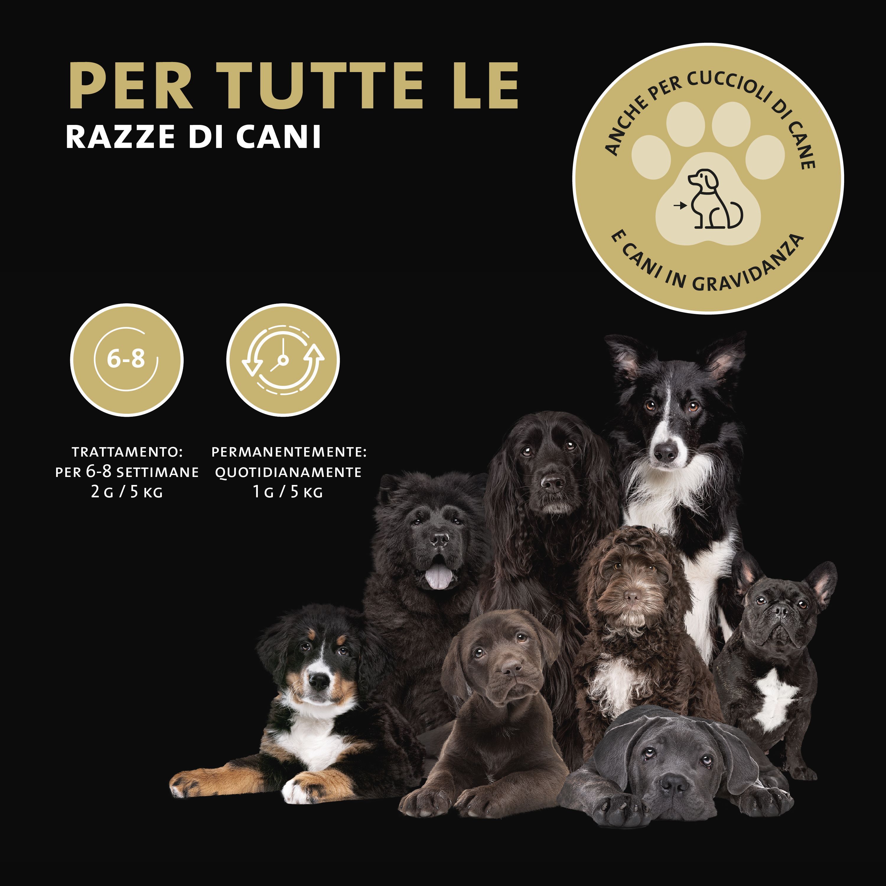 Sacchetto Peticare Gelenke Pulver-Mix con foto di cane ed erbe.