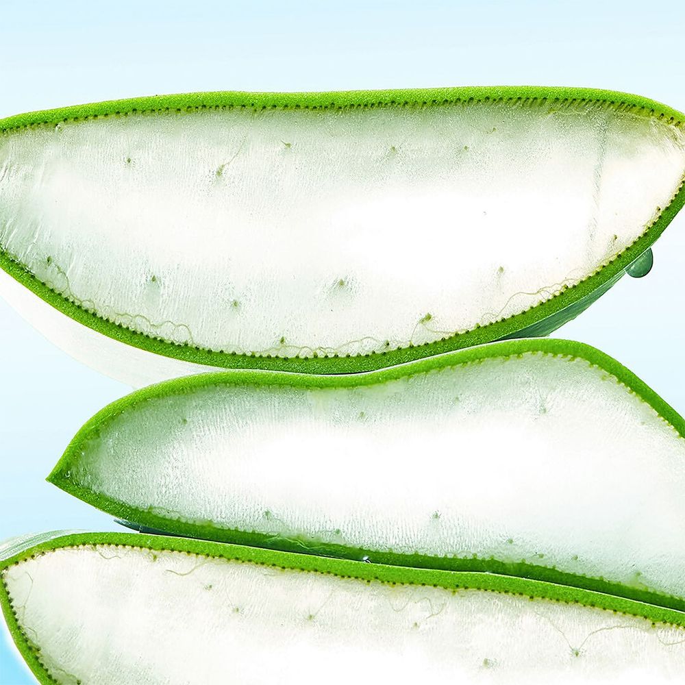 Tre pezzi di foglie di aloe vera, verdi e bianche, con gocce.