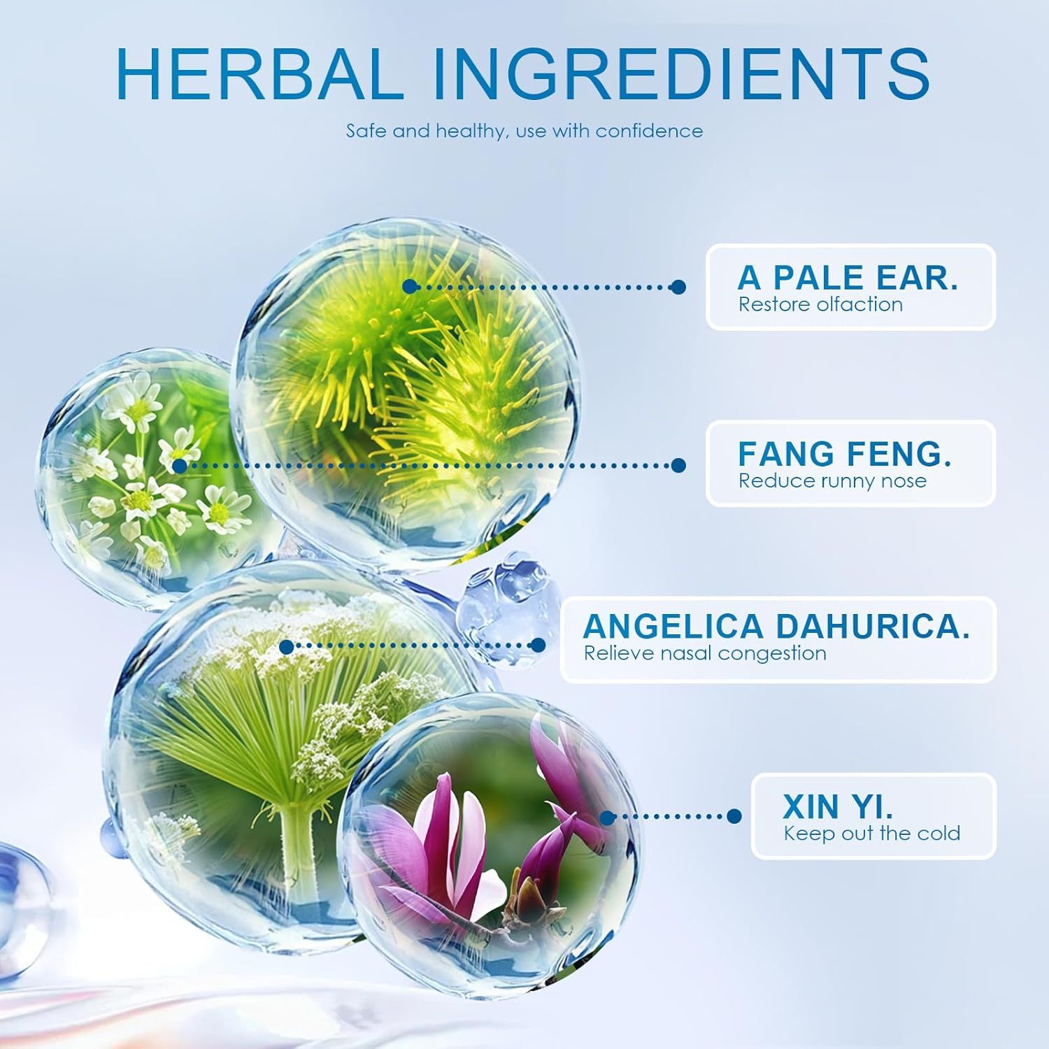 Grafico con ingredienti a base di erbe. Quattro ingredienti in sfere trasparenti. Etichetta: A Pale Ear, Fang Feng, Angelica Dahurica, Xin Yi.