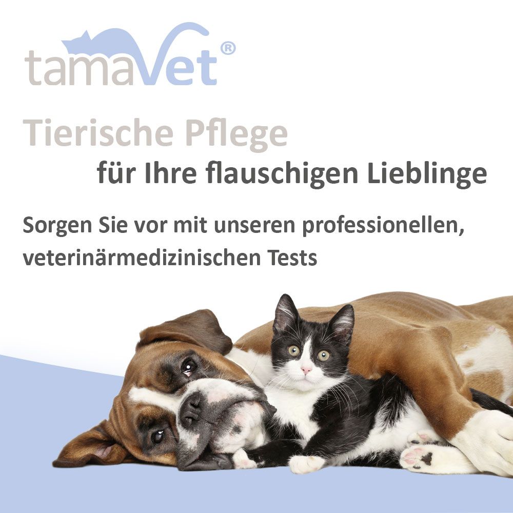 tamaVet test rapido per Giardia per cani e gatti