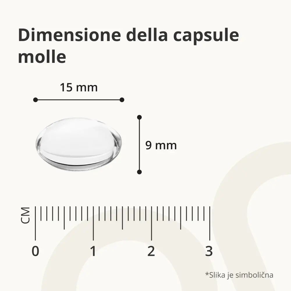 Dimensione di una capsula molle: 15 mm di lunghezza, 9 mm di larghezza. Scala in centimetri.