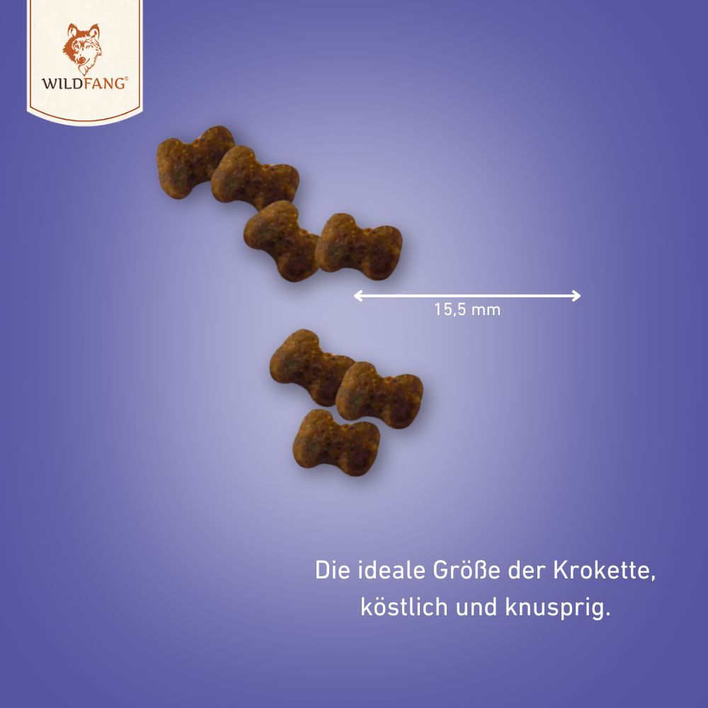 Crocchette per cani, a forma di osso, 15,5 mm. Testo: La dimensione ideale delle crocchette, deliziose e croccanti.