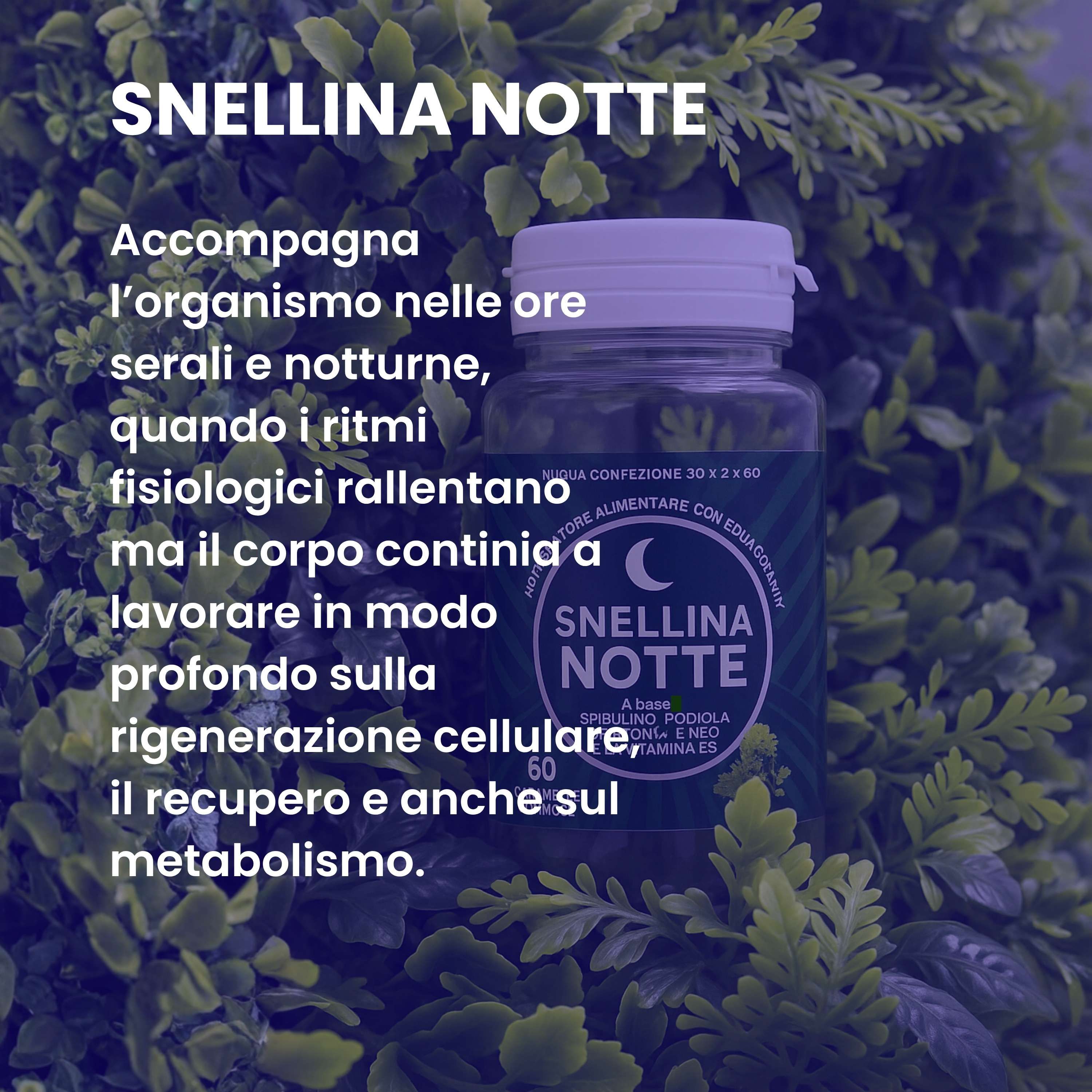 Aloha Labs Snellina Giorno & Notte Integratore Alimentare Dimagrante 120 gommose