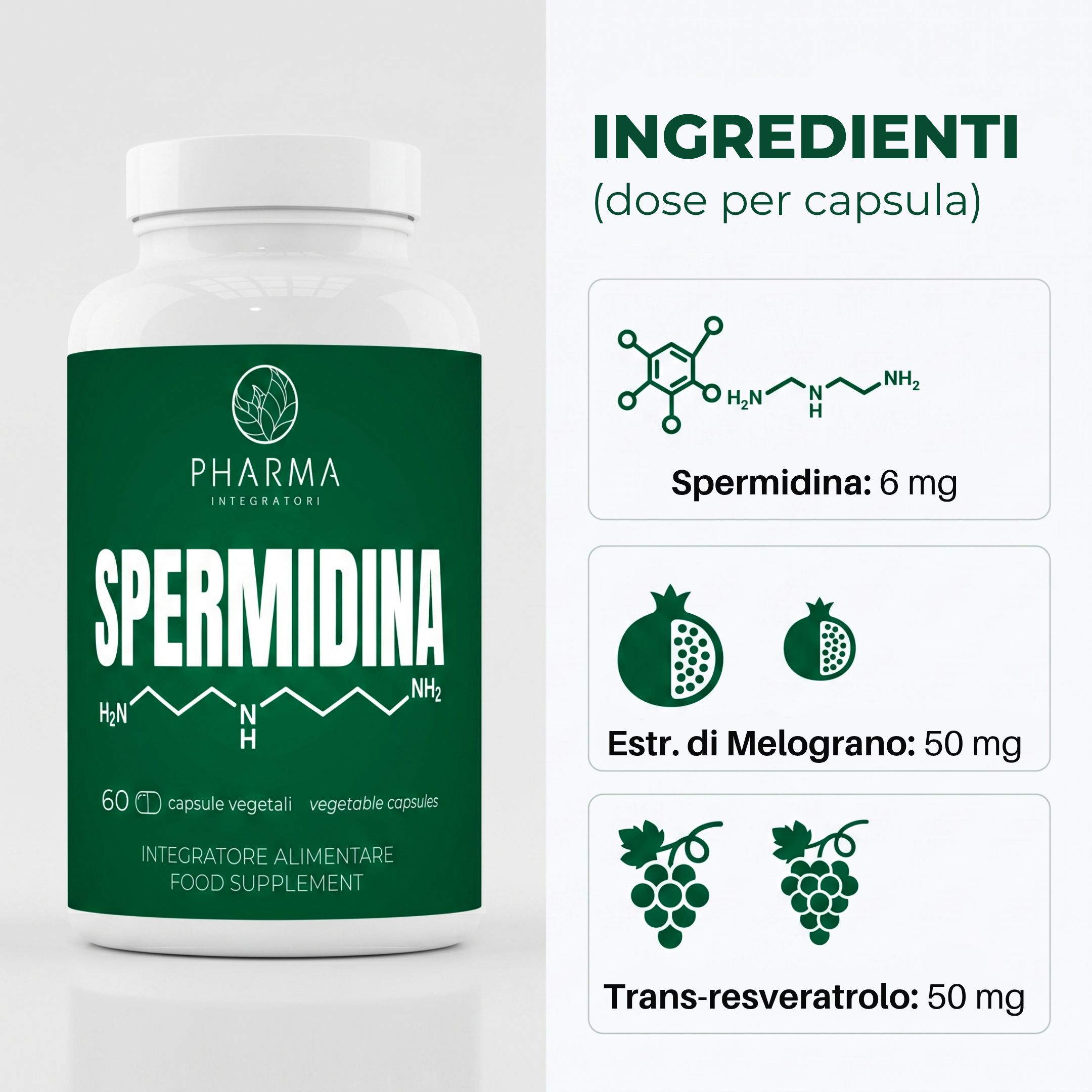Flacone Pharma Integratori Spermidina con lista ingredienti: spermidina 6mg, estratto melograno 50mg, transresveratrolo 50mg.