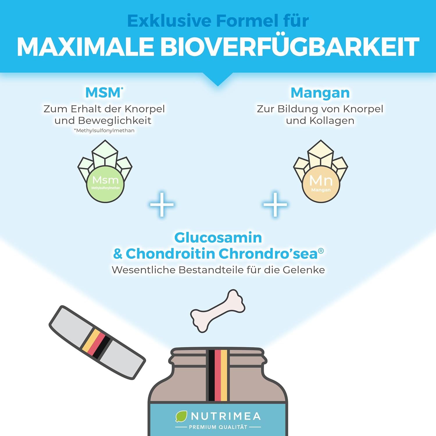 Infografica con testo e icone. Contiene informazioni su MSM, manganese, glucosamina e condroitina. Immagine: Flacone con bandiera tedesca.