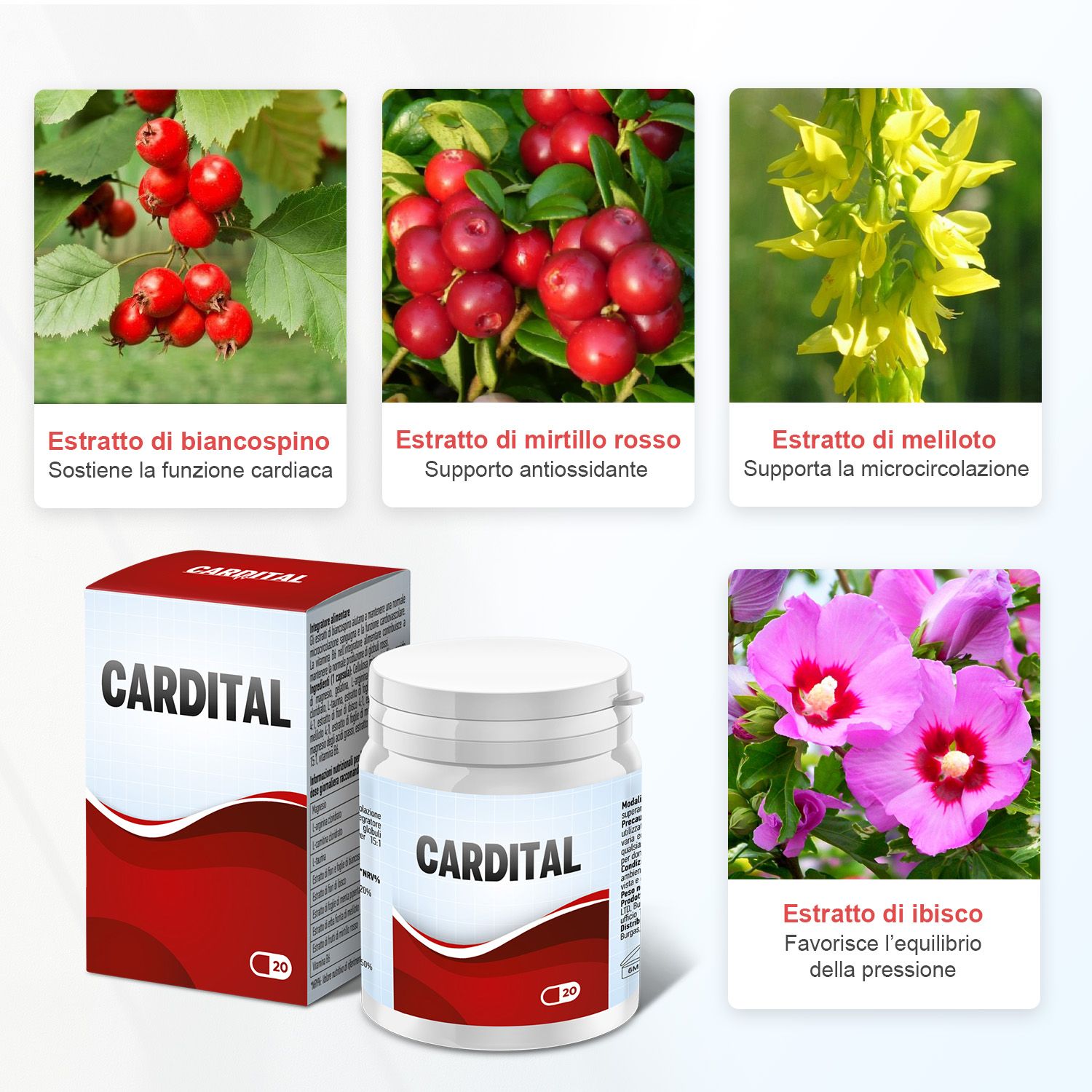 Cardital Capsule – Con aminoacidi e Magnesio