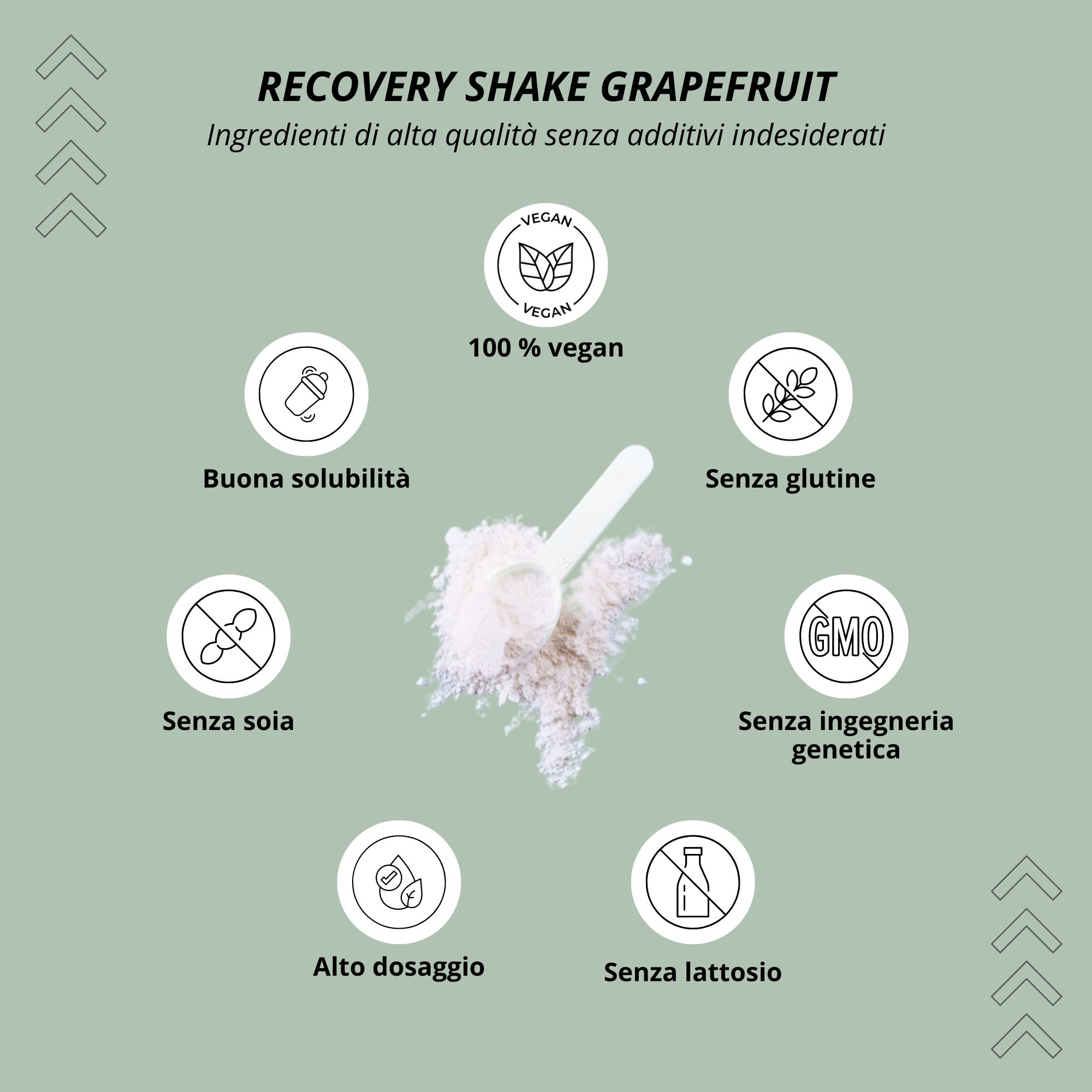 Illustrazione dei vantaggi del Recovery Shake: 100% vegan, senza glutine, senza soia, senza lattosio, alta dose, senza OGM.
