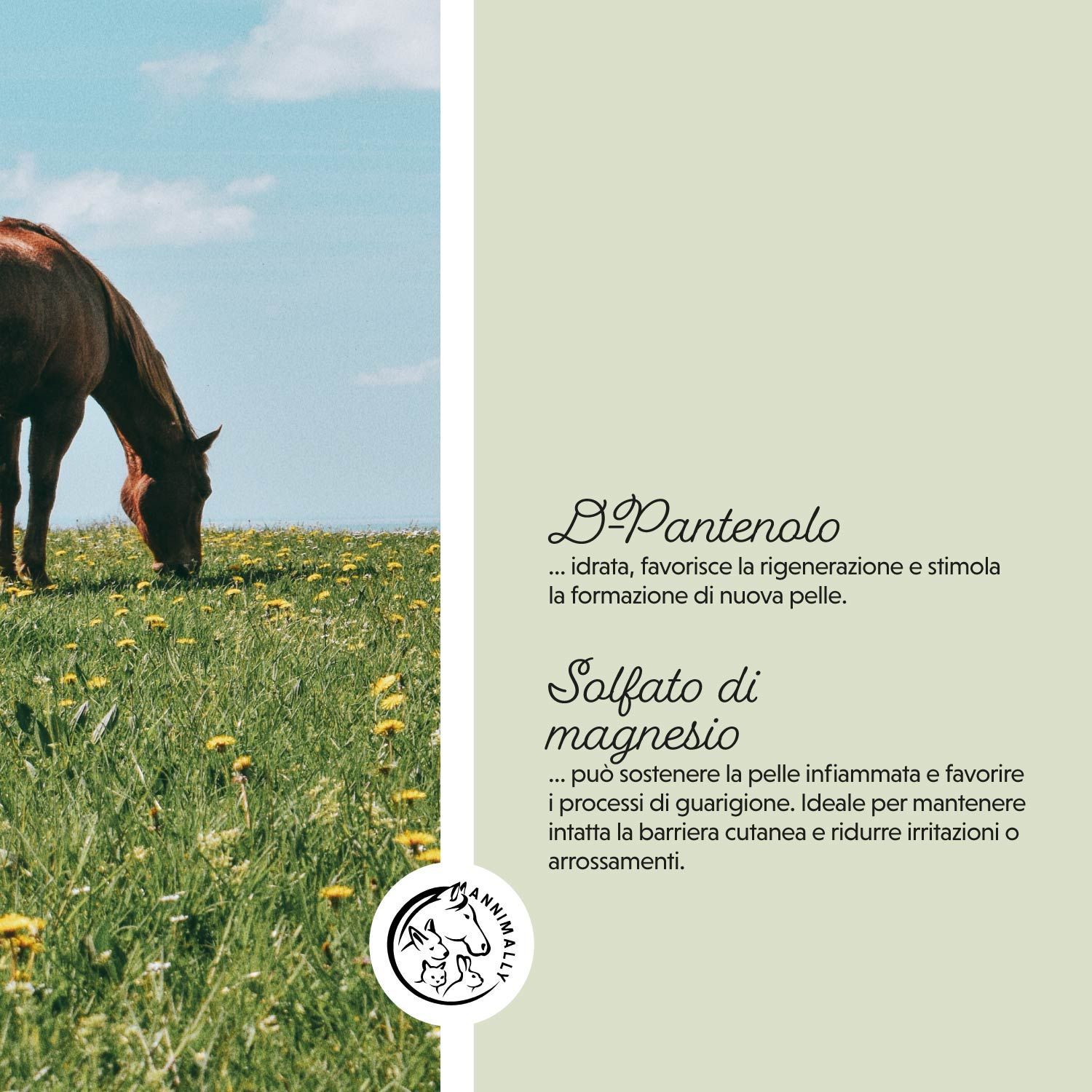 Testo: D-Pantenolo, Solfato di magnesio. Cavallo. Testo sugli ingredienti e i loro effetti.