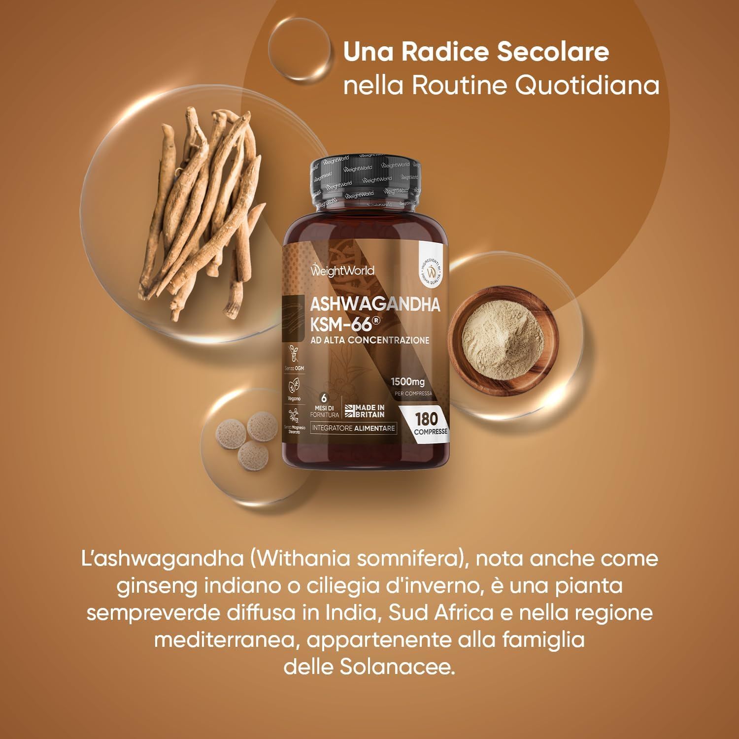 Flacone Ashwagandha KSM-66, radici, polvere. Testo: Una radice secolare nella routine quotidiana. 180 compresse.