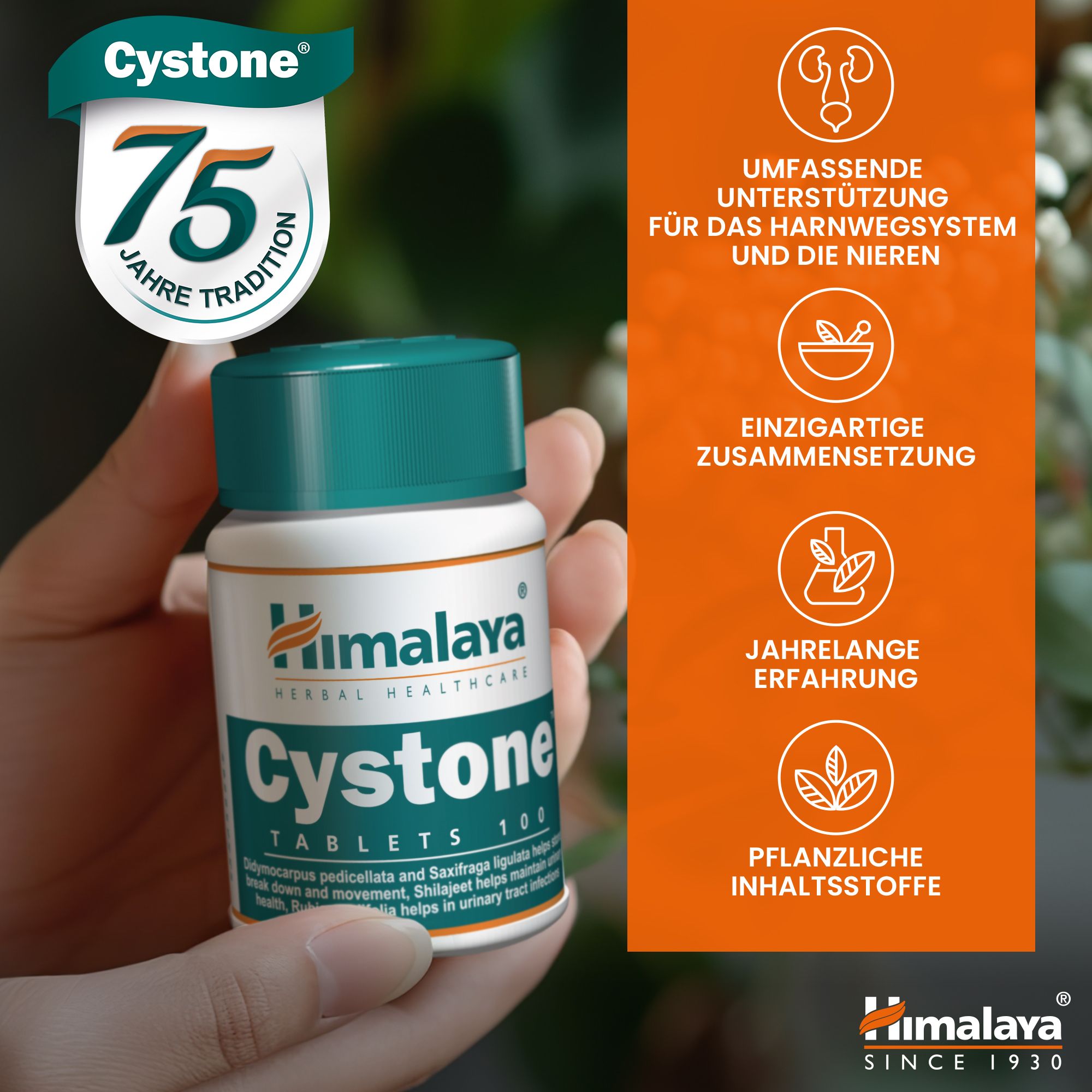 Mano che tiene una bottiglia di Cystone Himalaya, celebrando 75 anni di tradizione.