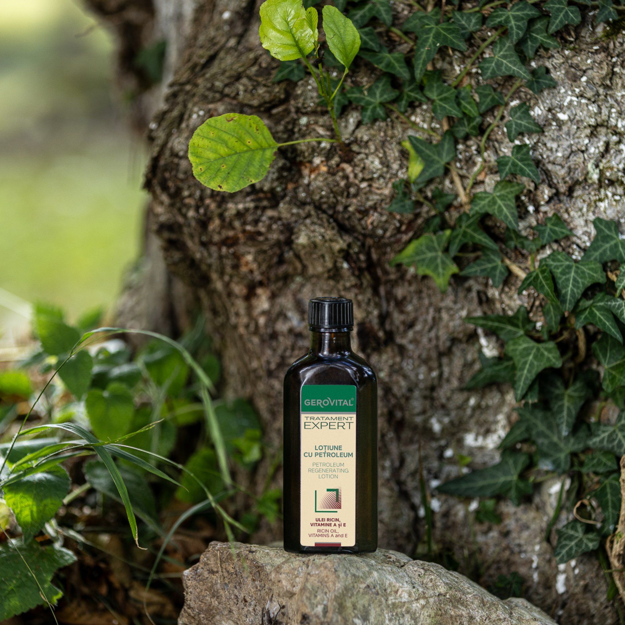 Bottiglia marrone con tappo nero su una pietra. Scritta: Gerovital, Tratament Expert, Lotiune cu Petroleum.