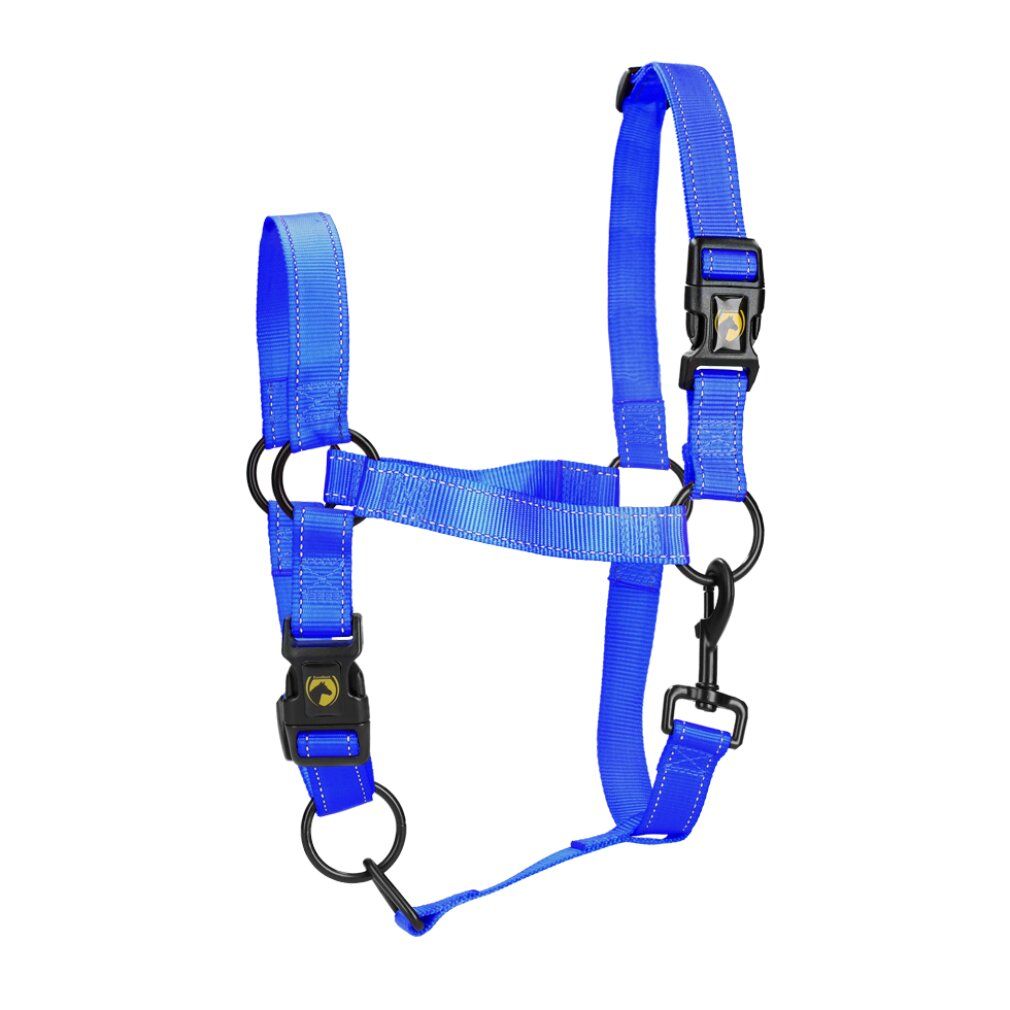 Cavezza blu per cavallo con fibbie e anelli neri. Include un moschettone.