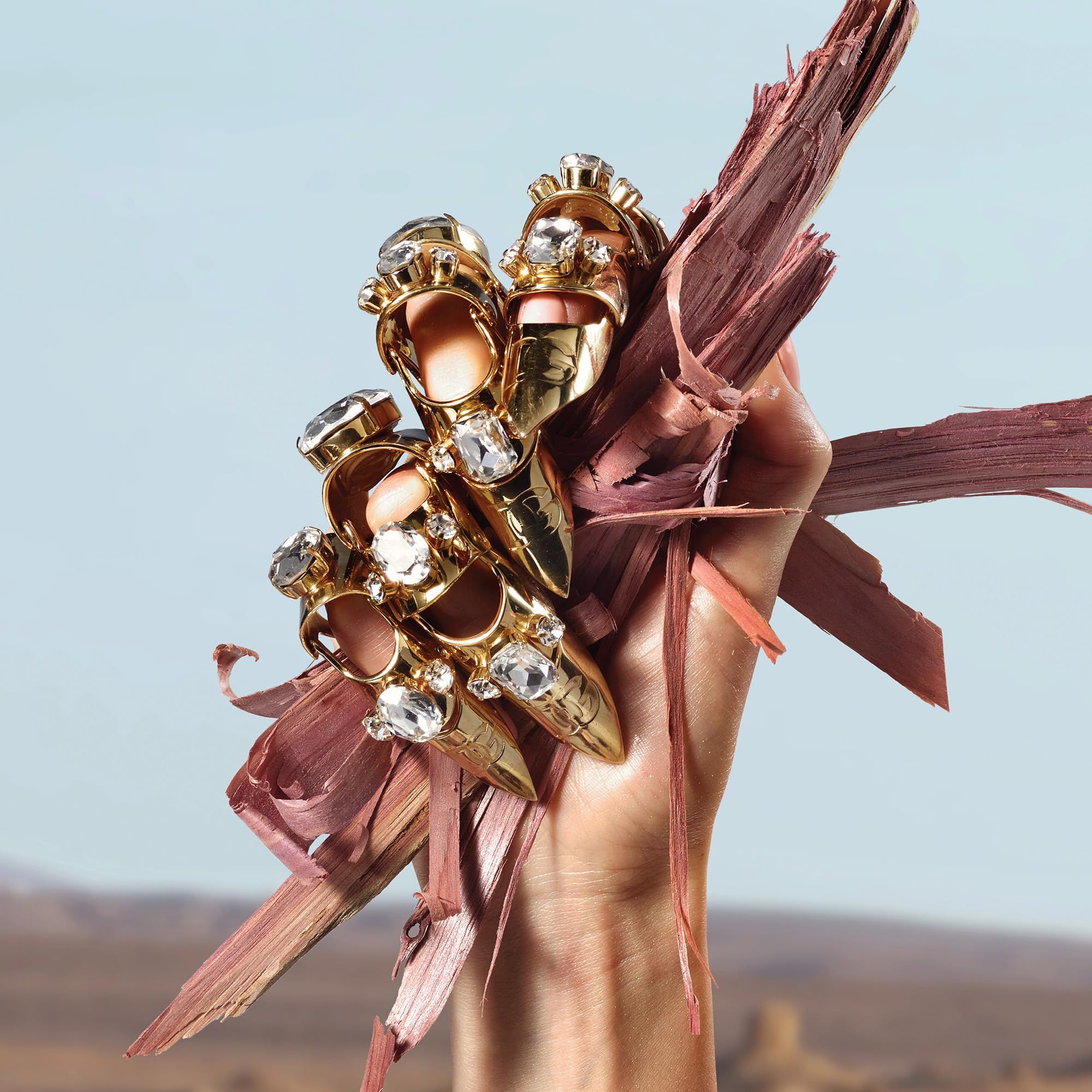 Mano con anelli dorati con pietre preziose. La mano tiene pezzi di legno. Sfondo: deserto e cielo blu.