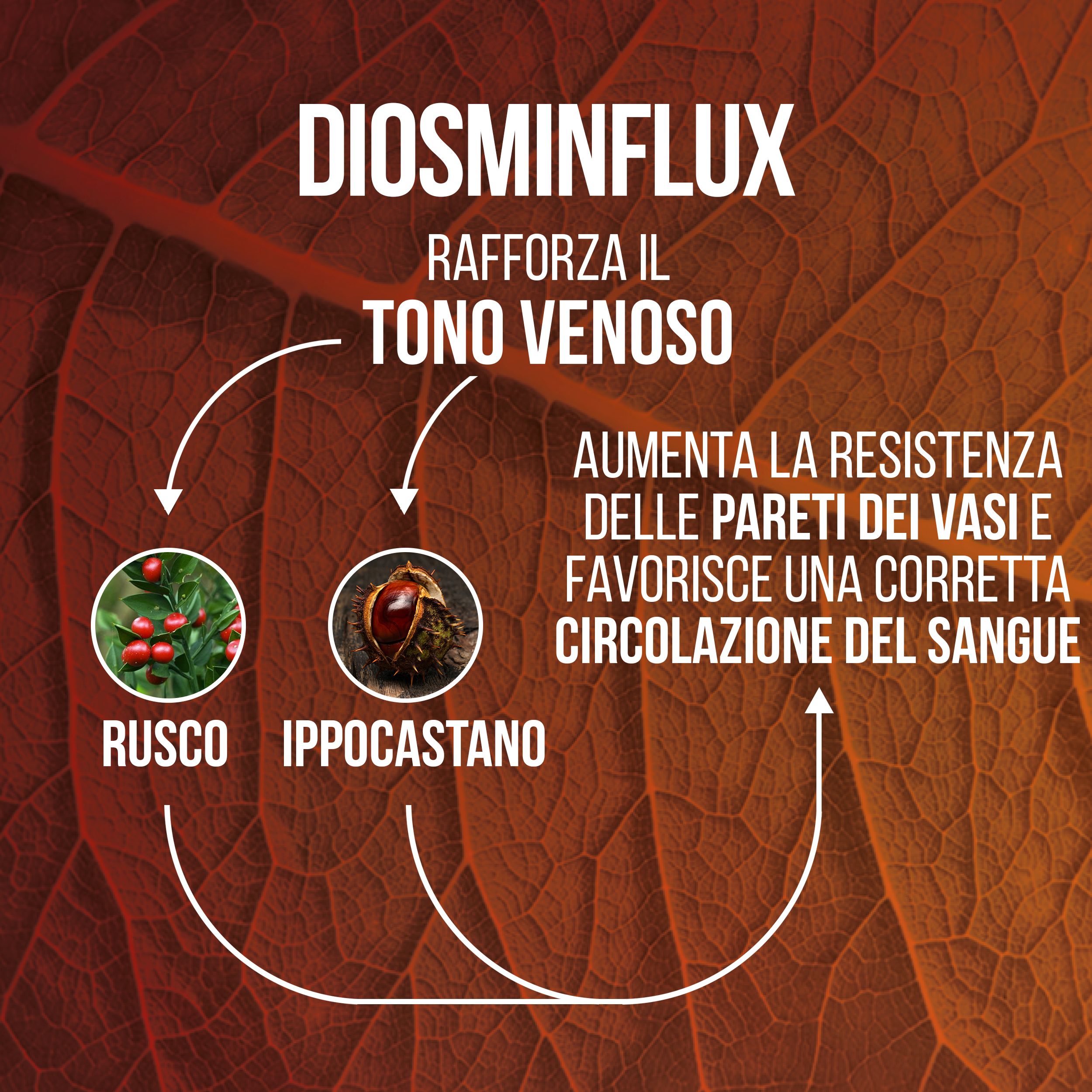 LA.GA Diosminflux Integratore Microcircolo per Vene Varicose