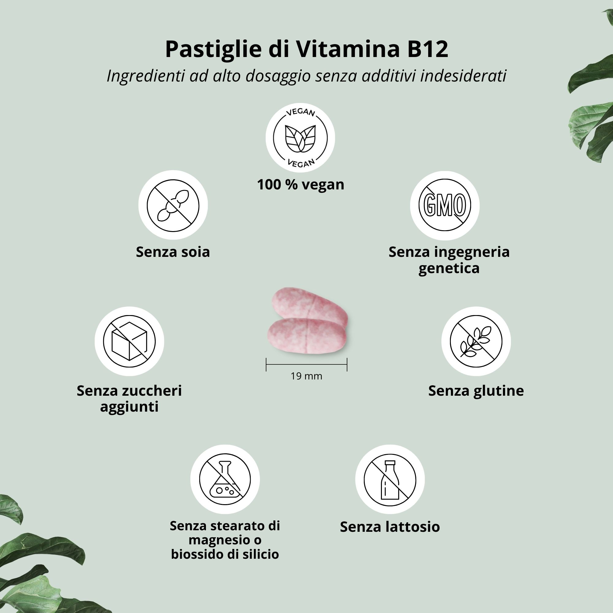 Pastiglie nutri+ Vitamina B12: Vegane, senza zuccheri aggiunti, senza OGM, senza soia.