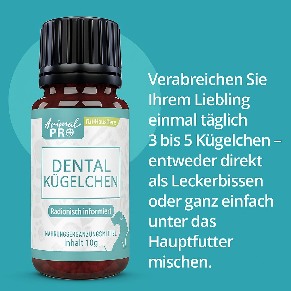 Flaconcino Animal Pro Dental Kügelchen con istruzioni per l'uso.