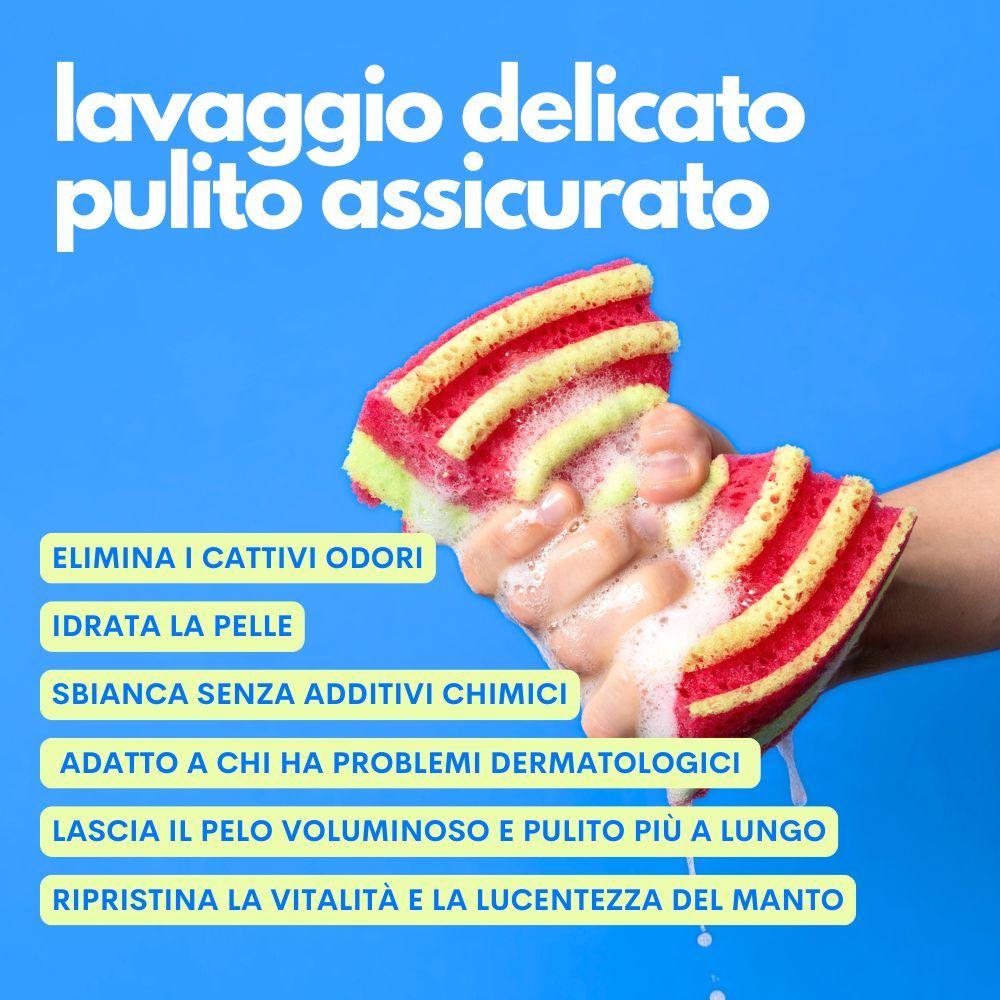 Jampy Shampoo Per Cani The Number One