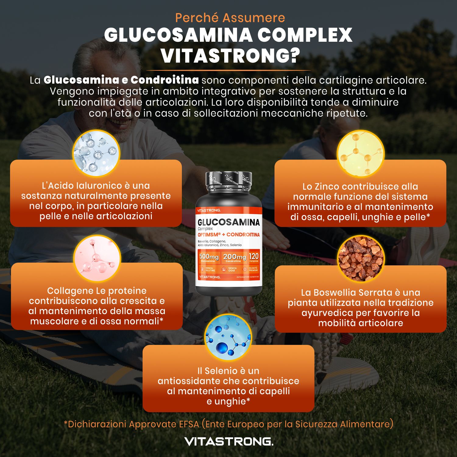 Infografica su Vitastrong Glucosamine Complex. Bottiglia e riquadri con ingredienti e benefici.