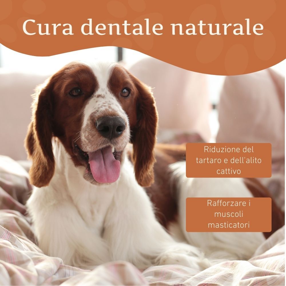 Cane, testo: Cura dentale naturale. Testo: Riduzione del tartaro e dell'alito cattivo, rafforzamento dei muscoli masticatori.