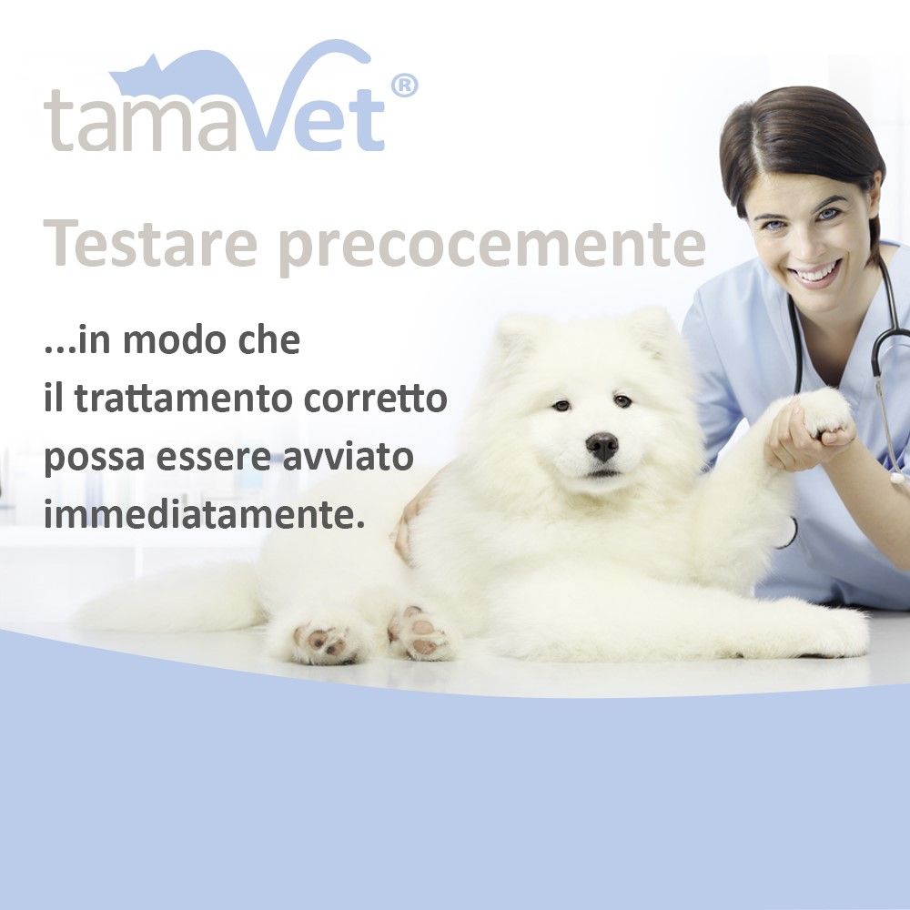 Veterinario con cane. Testo: Testare precocemente, in modo che il trattamento corretto possa essere avviato.