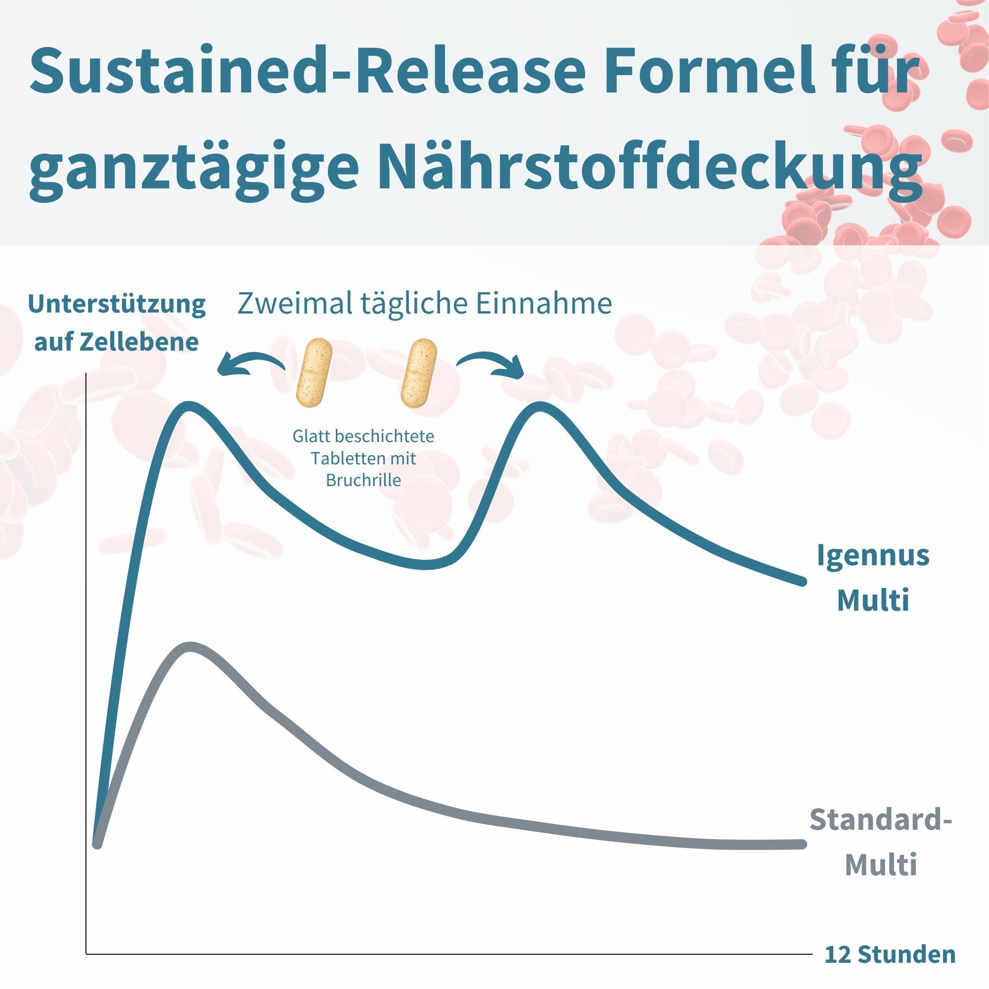 Grafico che mostra il rilascio delle compresse in 12 ore. Testo: Formula a rilascio prolungato per una copertura nutrizionale per tutto il giorno.