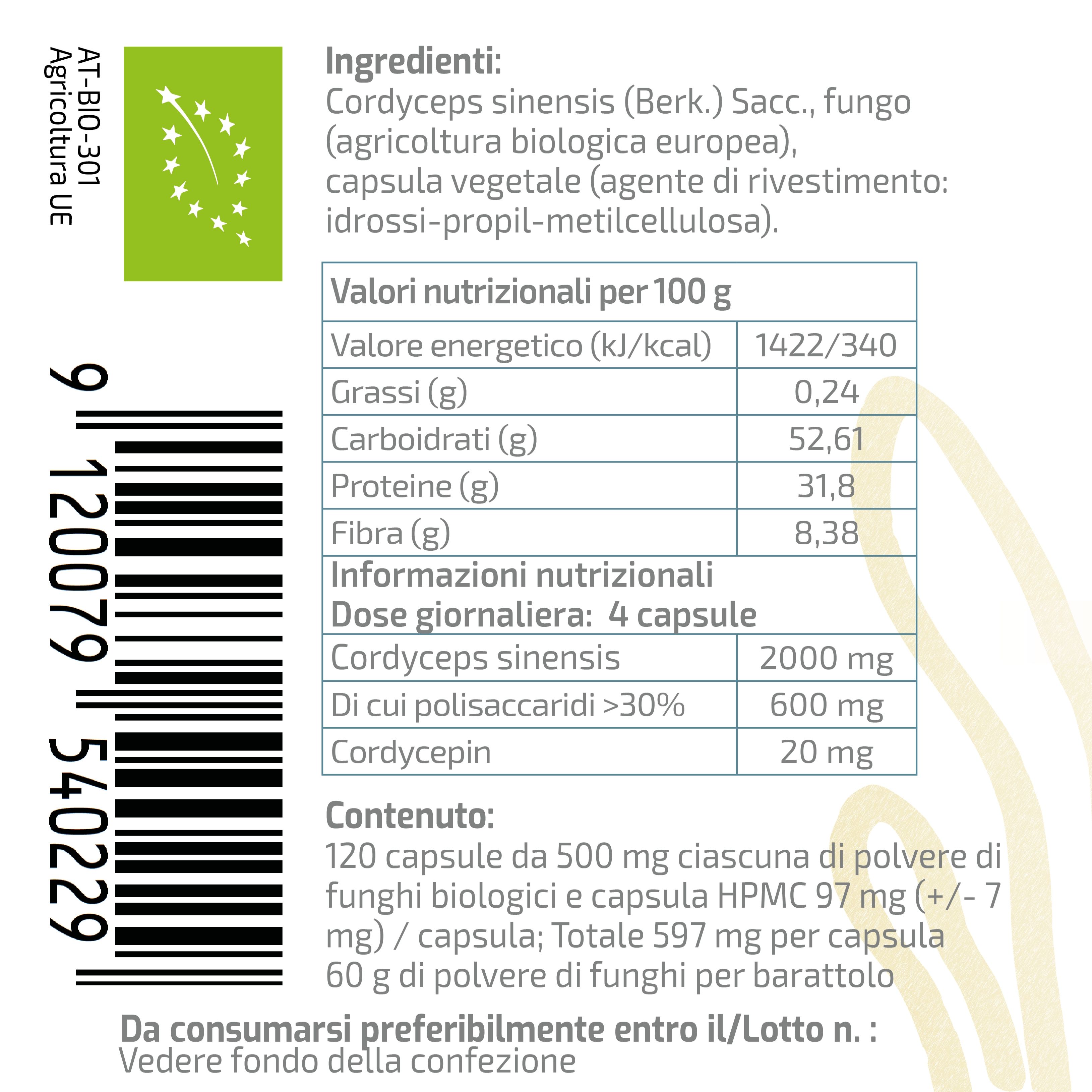 Retro della confezione: lista ingredienti, valori nutrizionali e dosaggio per capsule di Cordyceps sinensis.
