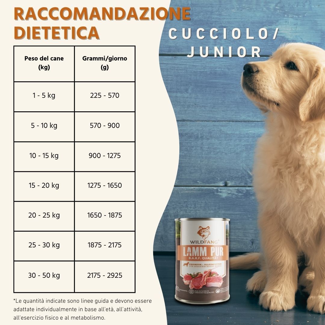 Wildfang - Junior Gourmet Box - Cibo secco e umido