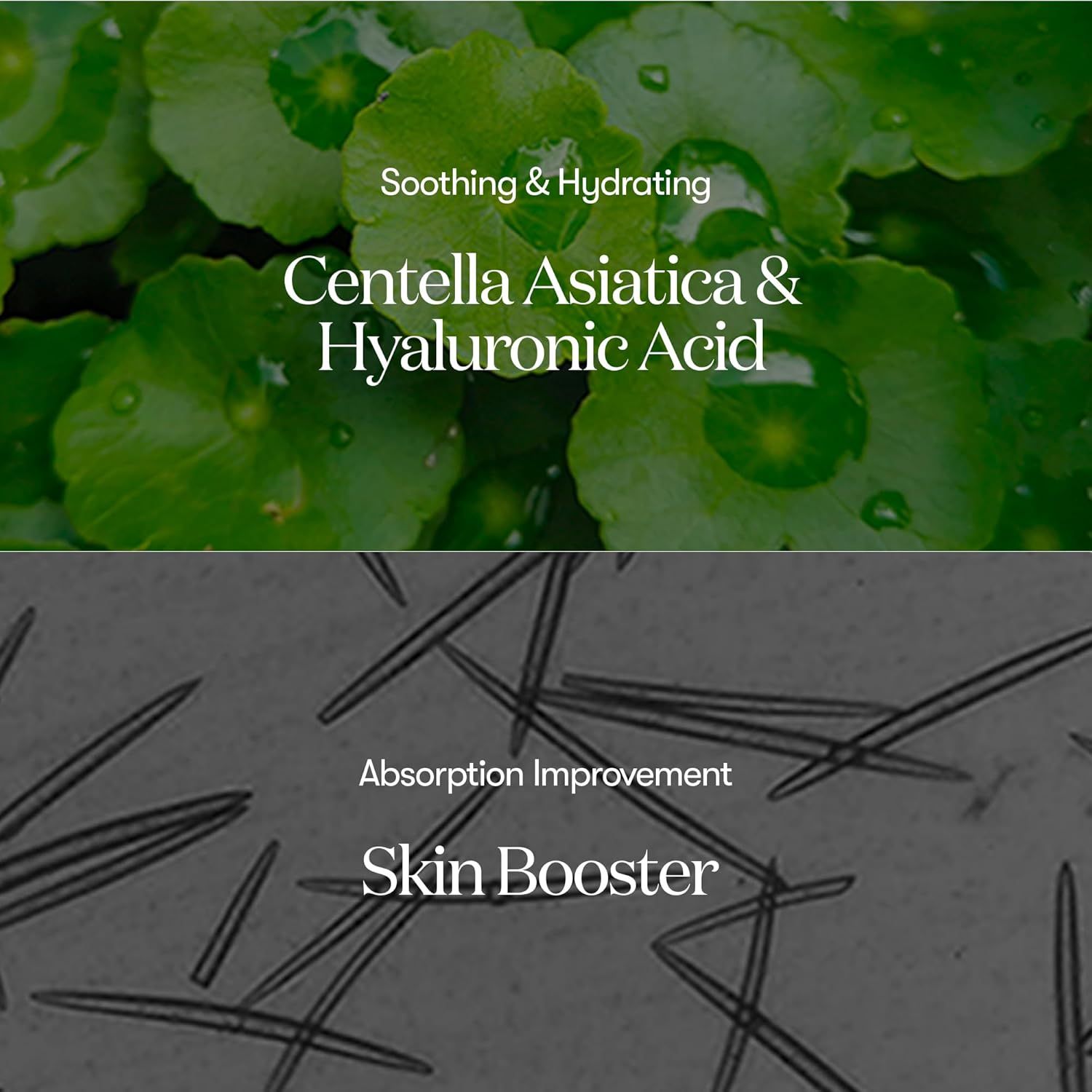 Primo piano di foglie e aghi microscopici. Testo: Centella Asiatica & Acido Ialuronico, Skin Booster.