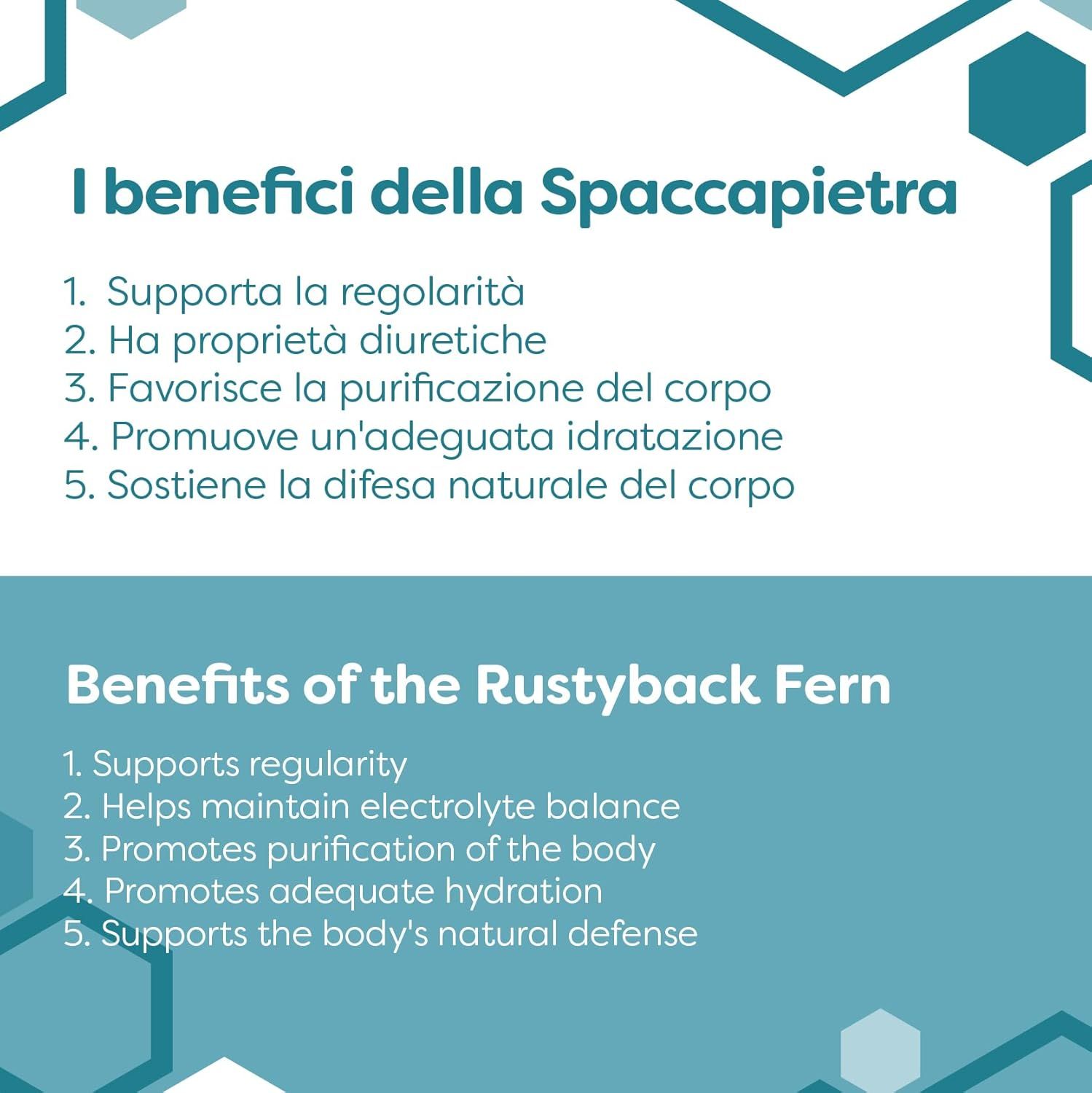 Benefici della Spaccapietra: Supporta regolarità, proprietà diuretiche, favorisce purificazione, idratazione e difese naturali del corpo.