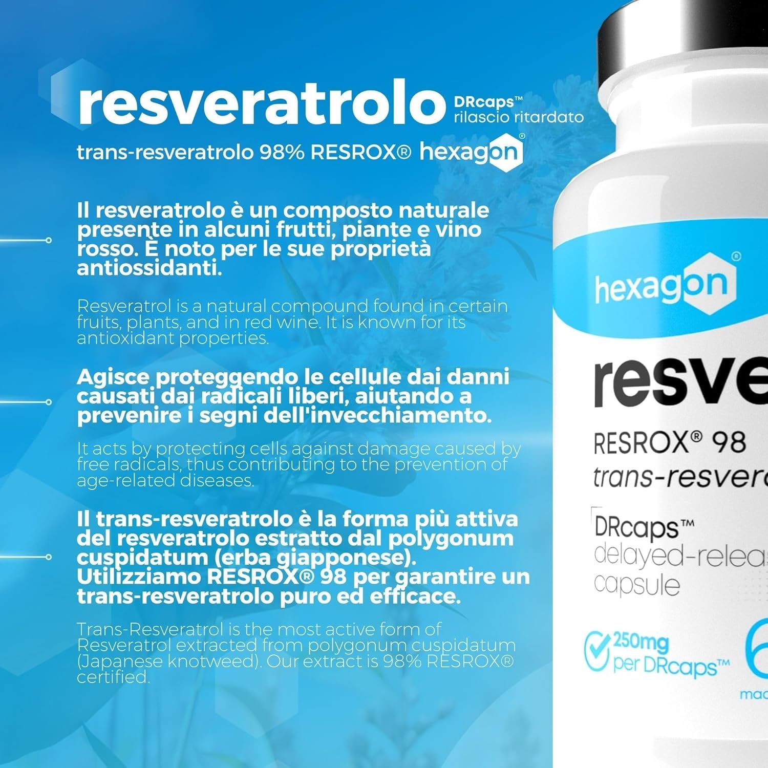 Hexagon Resveratrolo Capsula