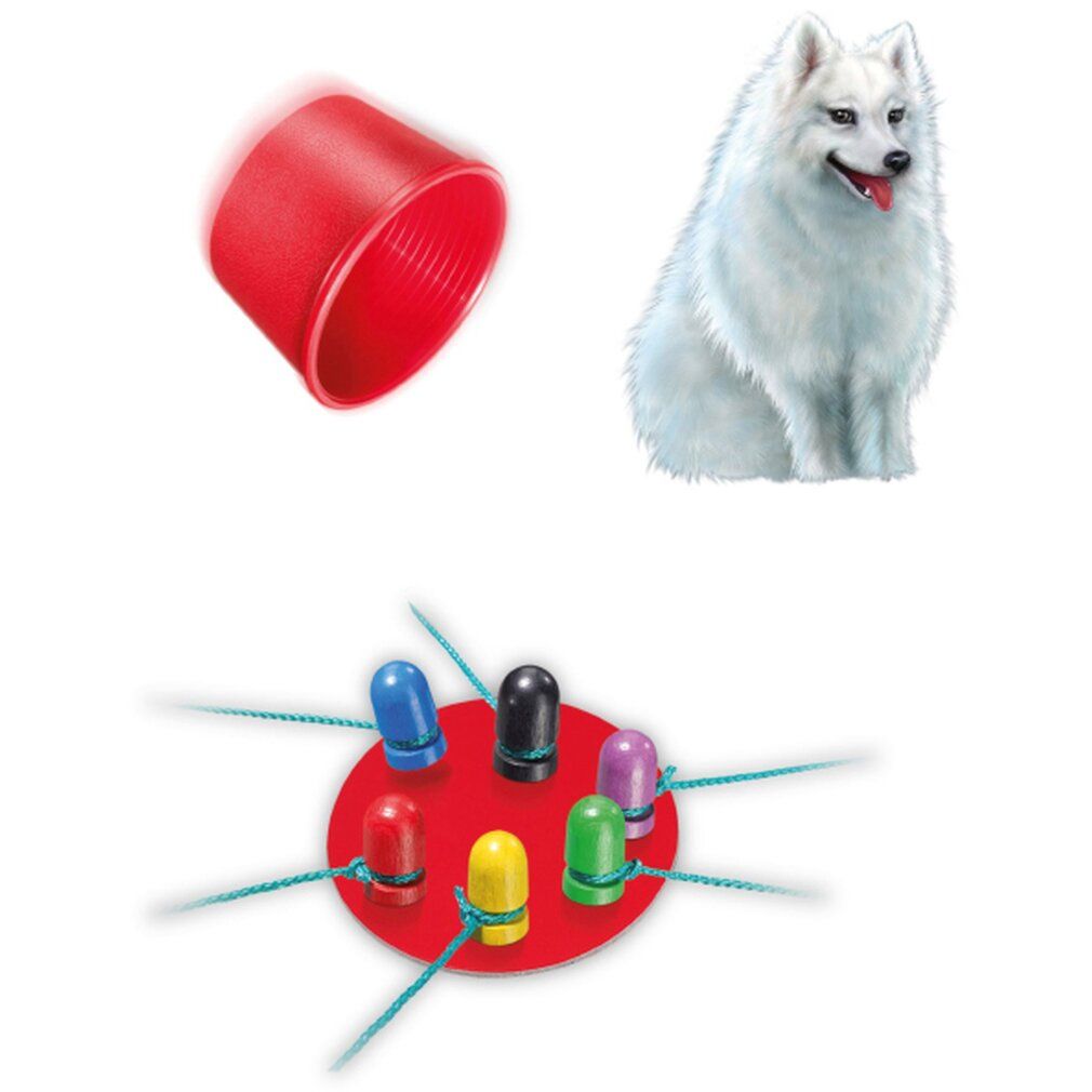 Attenzione agli Spitz!