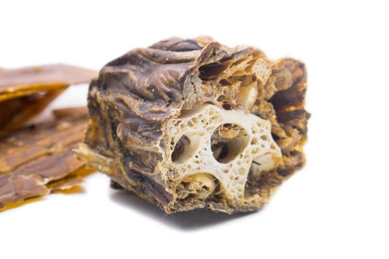 Primo piano di un pezzo di mix di struzzo. Struttura porosa marrone con aree interne più chiare. Forma irregolare.