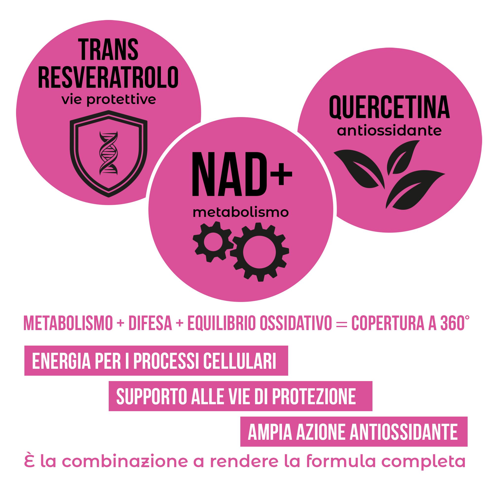 Tre cerchi rosa con simboli e testi su NAD+, quercetina e transresveratrolo, che illustrano metabolismo e protezione cellulare.