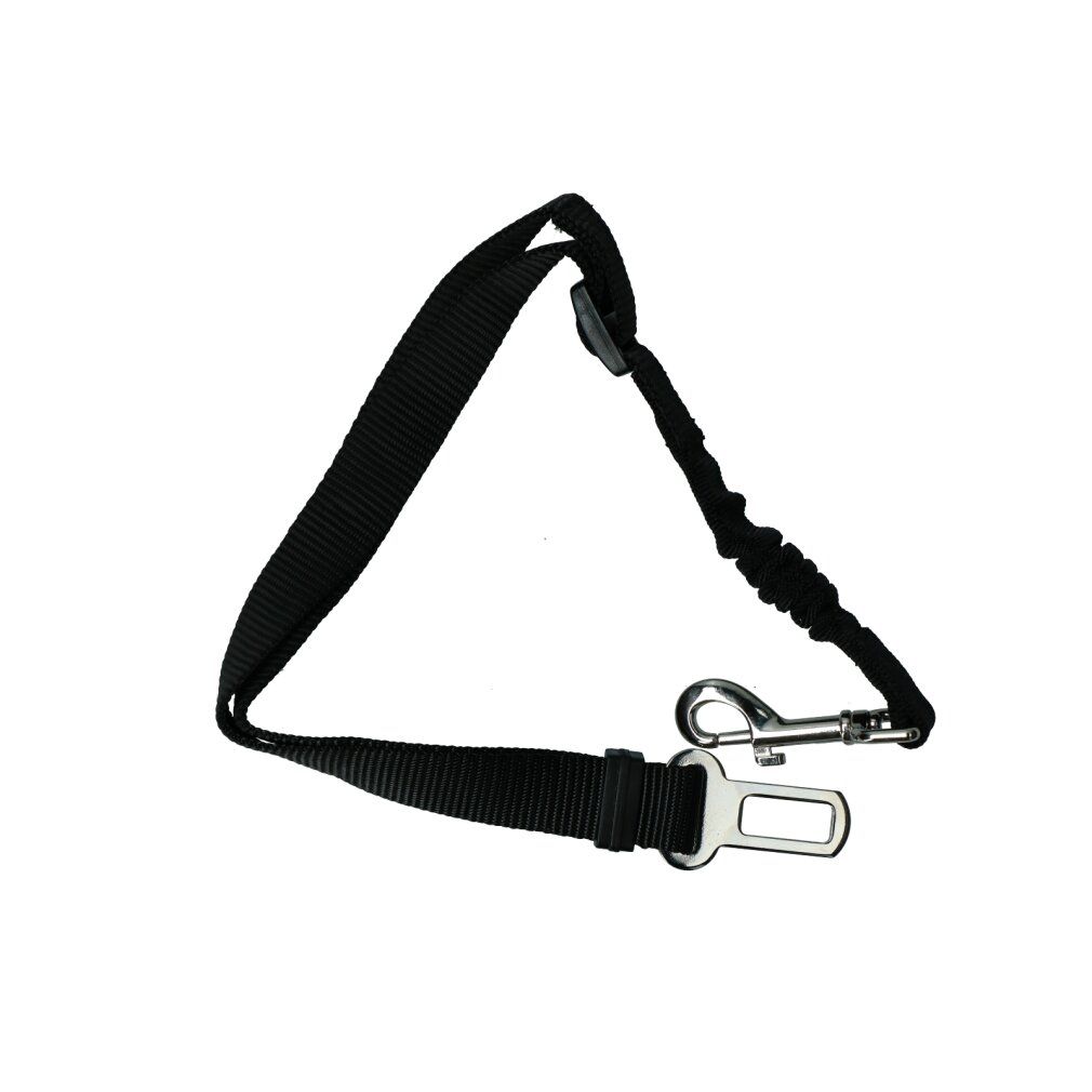Cintura di sicurezza per cani