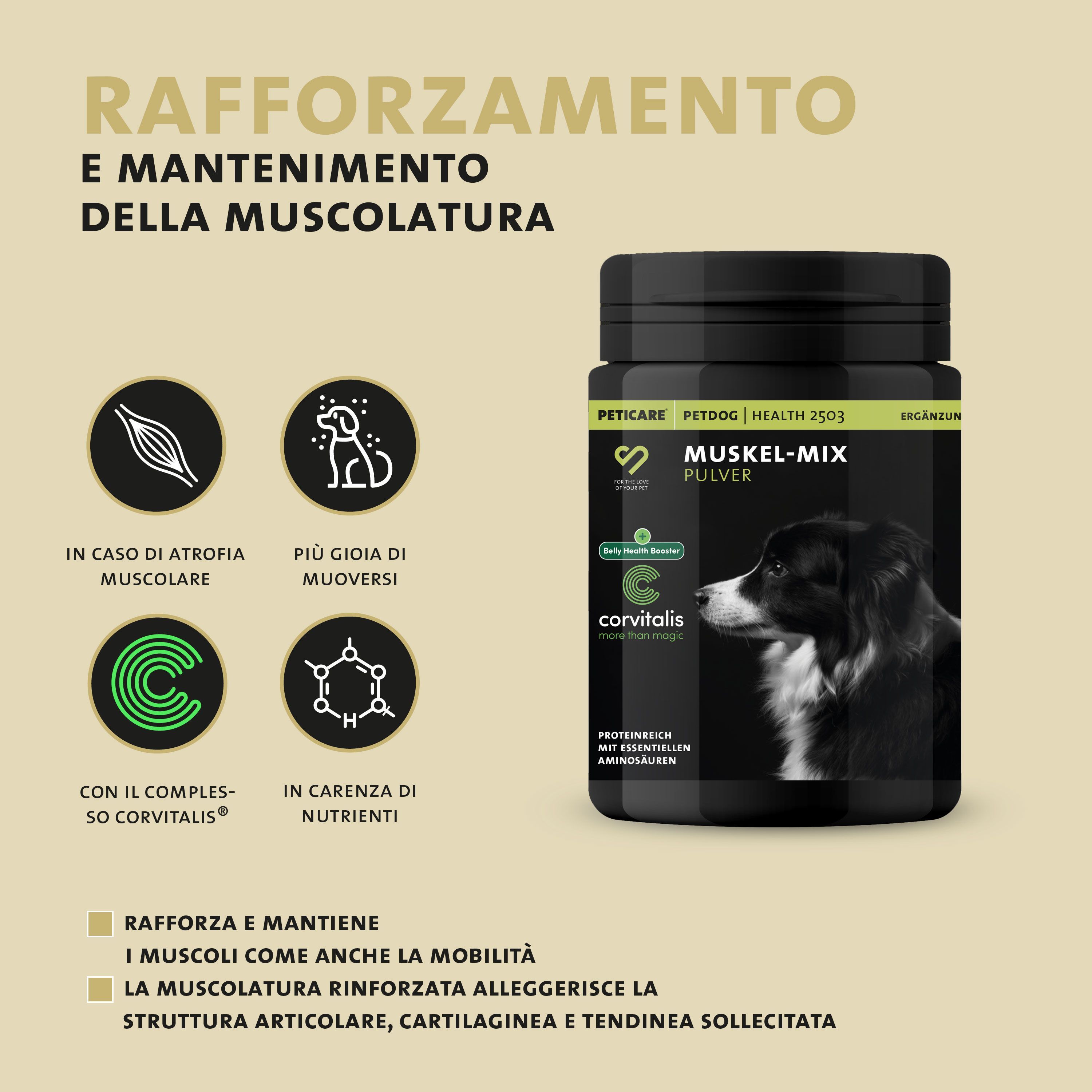 Cane mangia da ciotola, illustrazione dosaggio facile con cucchiaino.