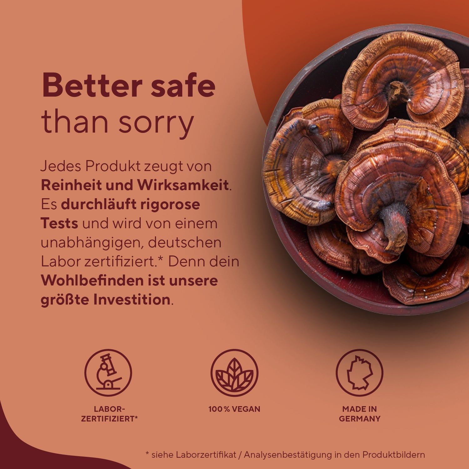 Testo: Certificato in laboratorio, 100% vegano, Made in Germany. Funghi Reishi in una ciotola.
