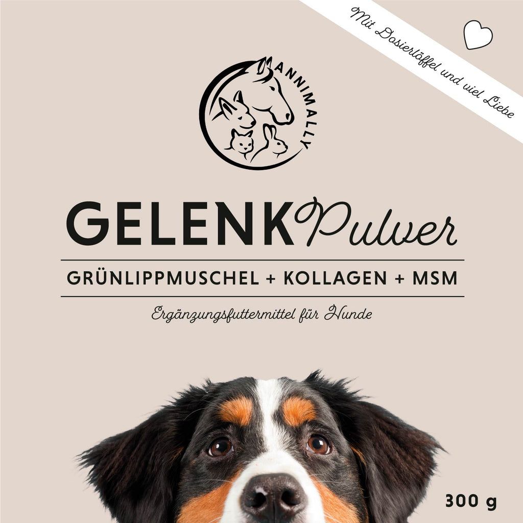 Confezione del prodotto. Scritta: GelenkPulver, 300g. Contiene cozza verde, collagene, MSM. Alimento complementare per cani.