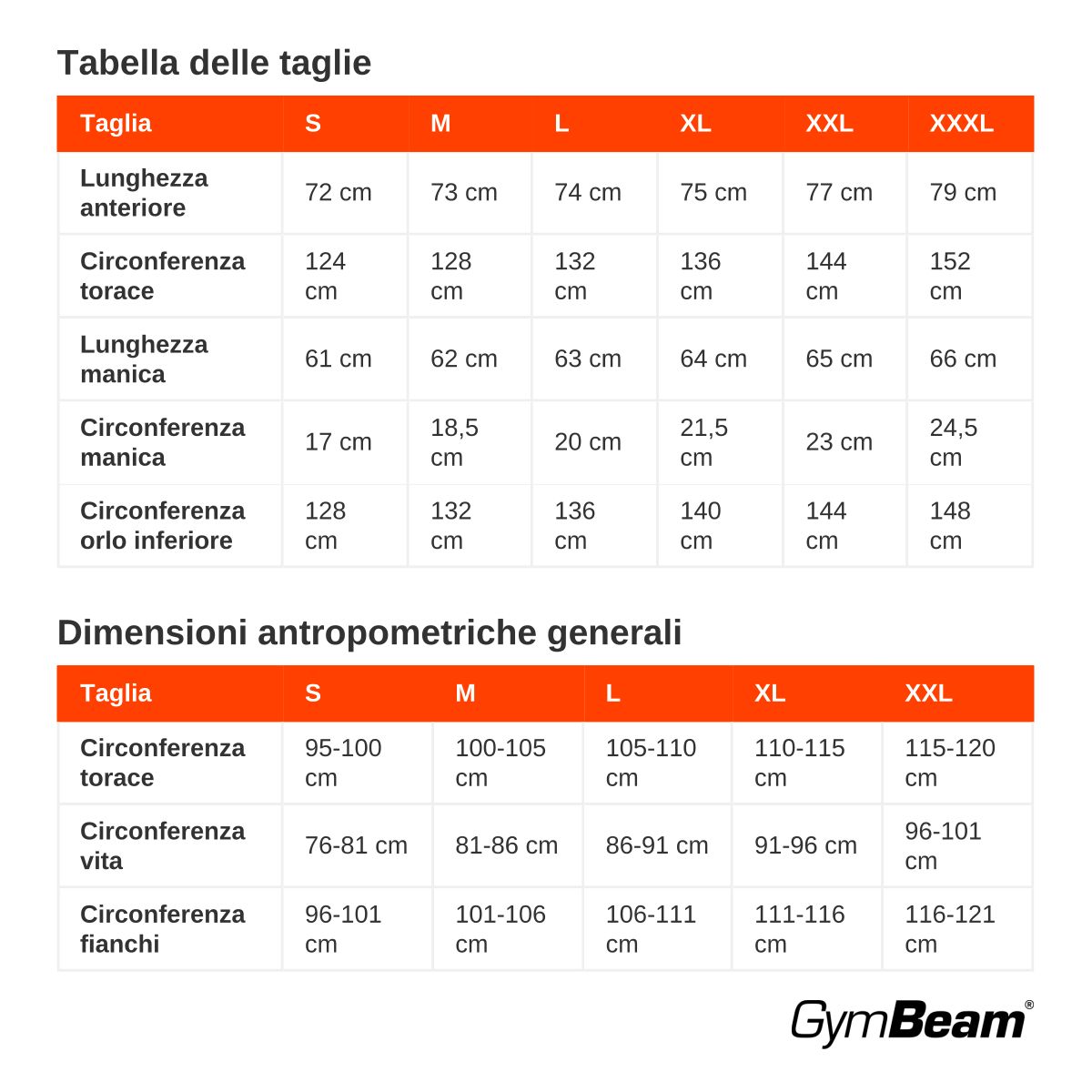 GymBeam Felpa uomo oversize senza cappuccio a maniche lunghe Aura Grey