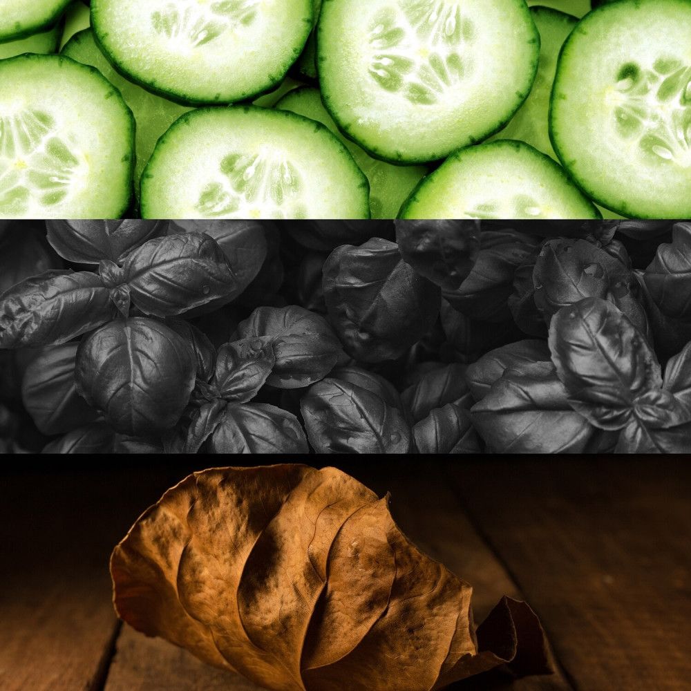 Tre strisce orizzontali: fette di cetriolo, foglie di basilico, foglia marrone su legno.