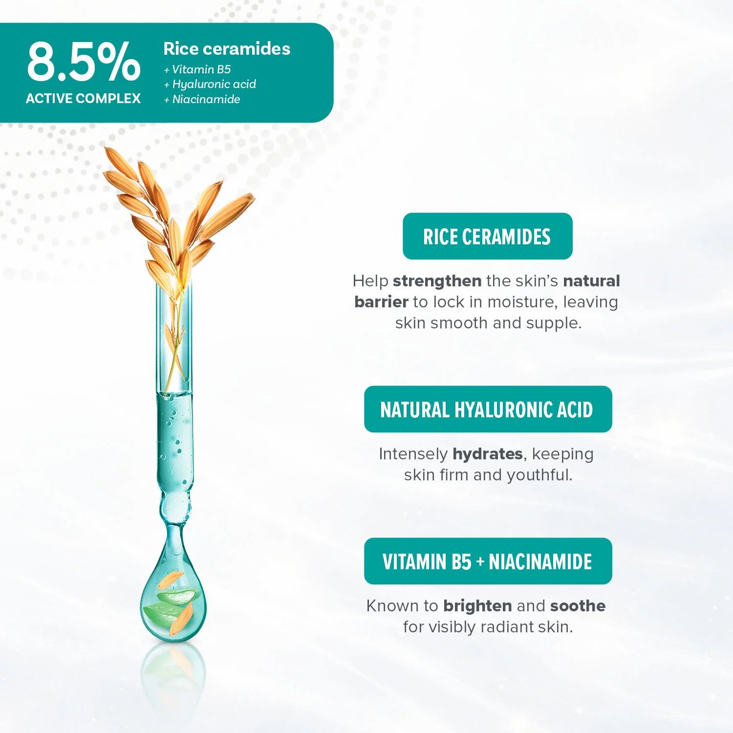 Grafico con ingredienti: ceramidi di riso, acido ialuronico, vitamina B5 + niacinamide. Descrizioni degli ingredienti e dei loro effetti.