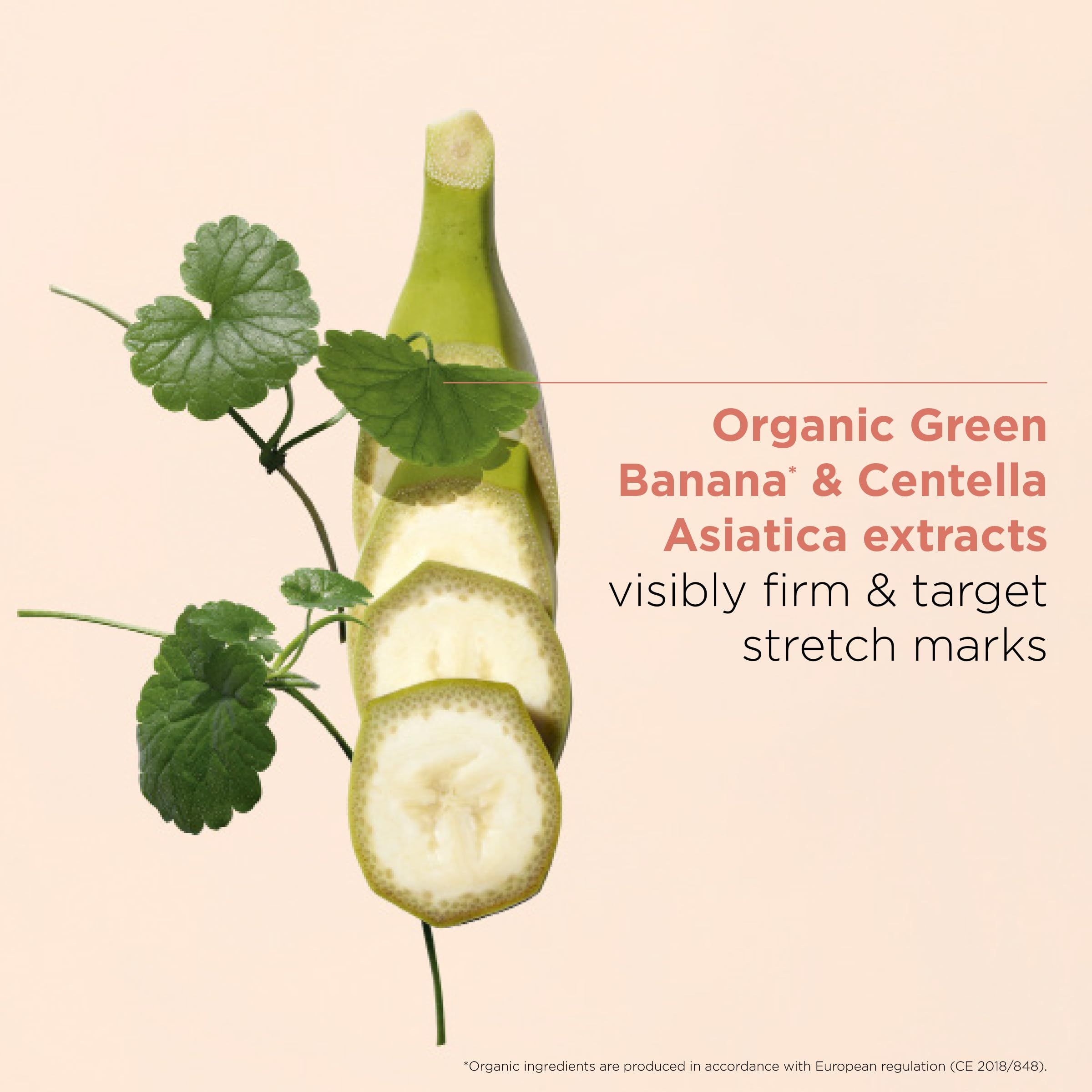 Estratti di banana verde e Centella Asiatica. Fette di banana e foglie illustrate. Testo: Mira alle smagliature.