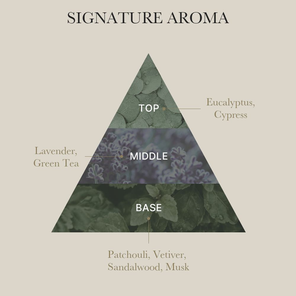 Grafico a forma di piramide. Scritta: SIGNATURE AROMA. Top: Eucalipto, Cipresso. Centro: Lavanda, Tè verde. Base: Patchouli, Vetiver, Sandalo, Muschio.