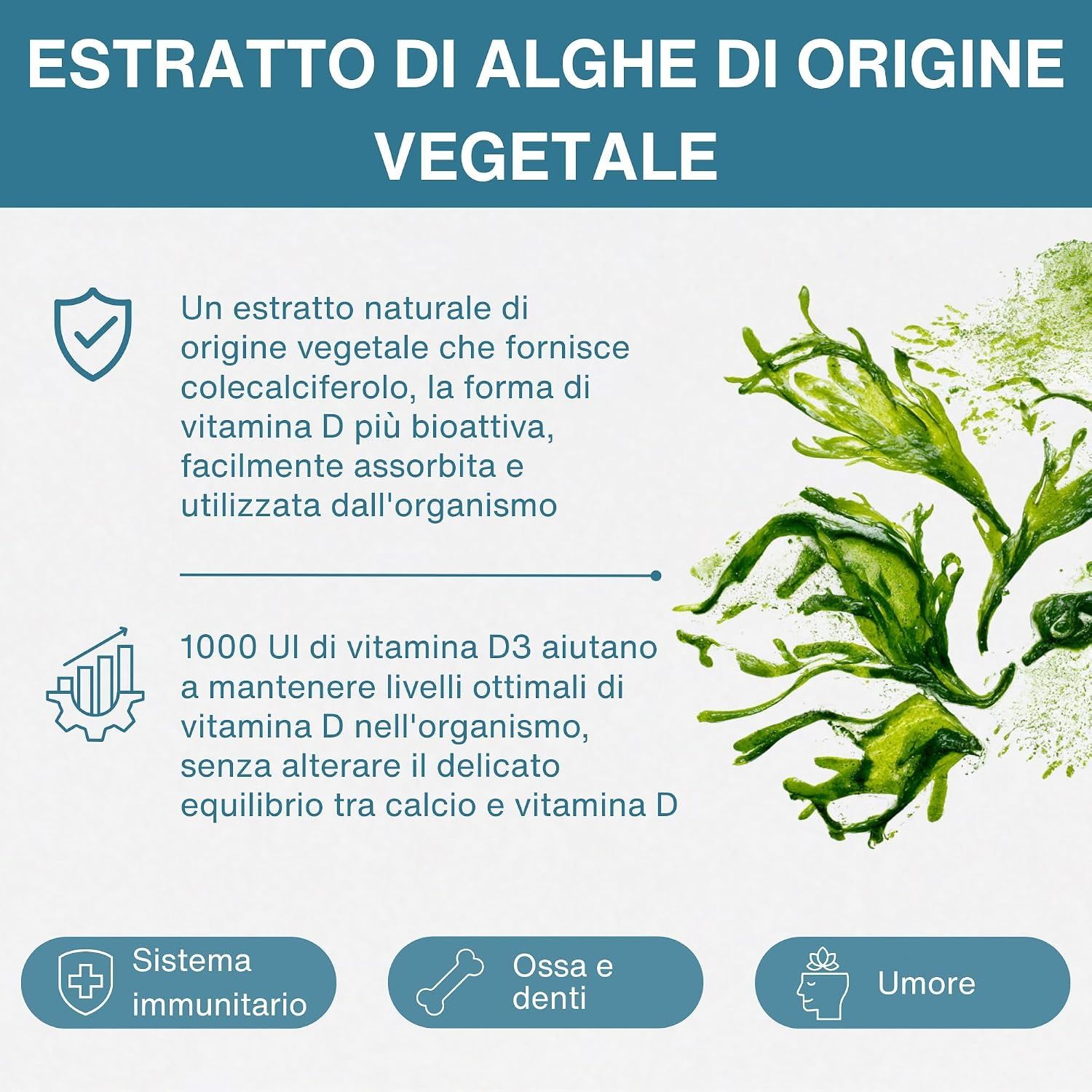 Primo piano di alghe che rappresentano la fonte vegetale della vitamina D3.