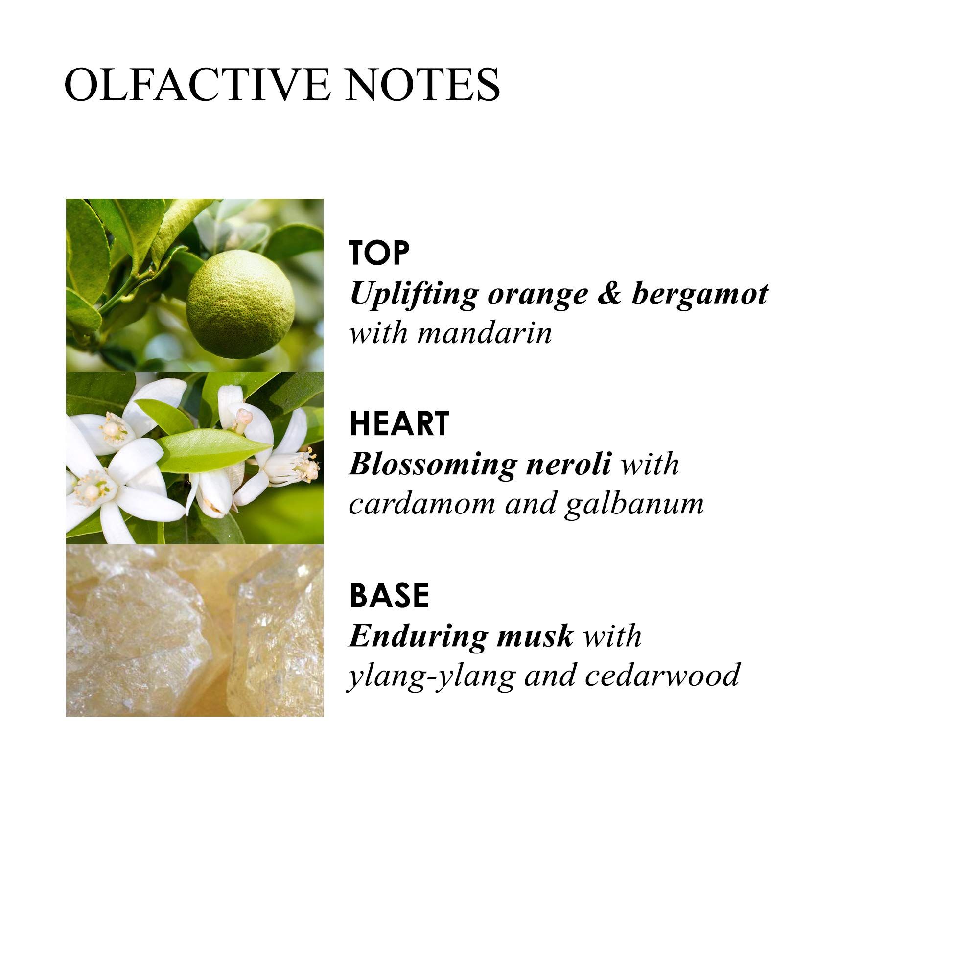 Testo con note olfattive. In alto: Arancia & Bergamotto. Al centro: Neroli. In basso: Muschio. Con immagini di frutta e fiori.