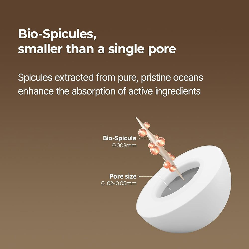 Illustrazione di bio-spicole, più piccole del diametro di un poro.