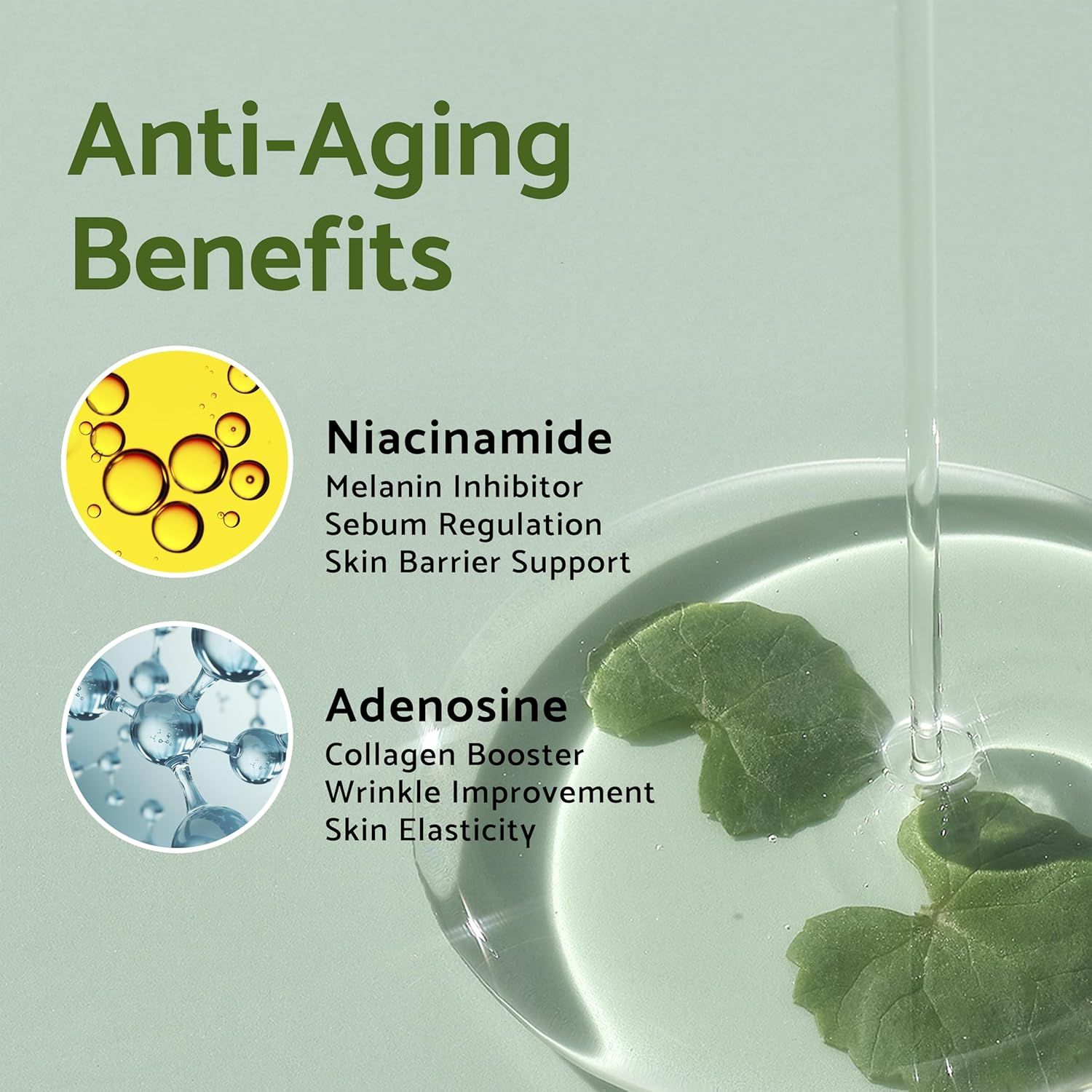 Flacone di siero con pipetta, grafici e testo: Niacinamide, Adenosina. Benefici anti-età.