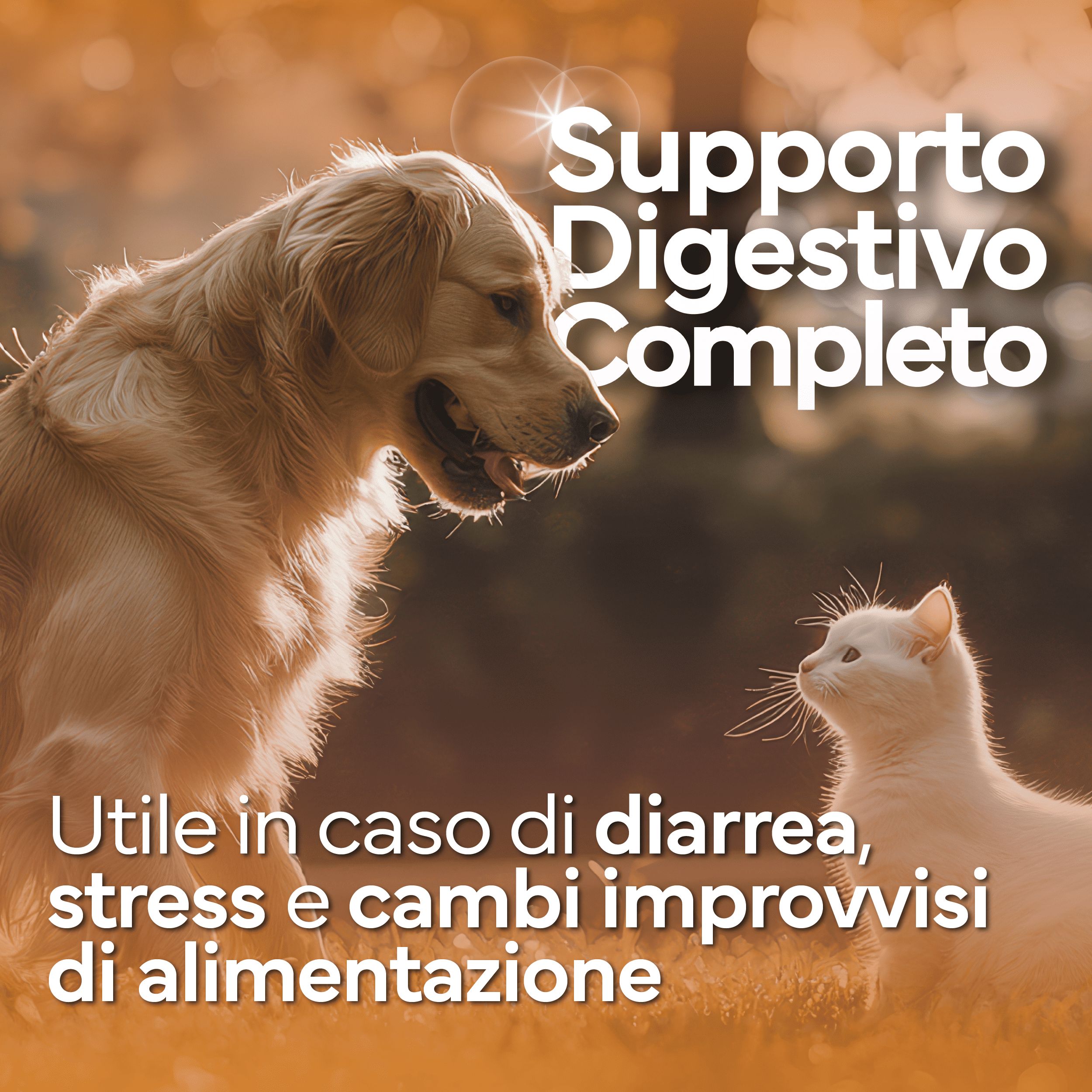 PROBIOTICI PER CANI di Alta Qualità Made in Italy. Fermenti Lattici Cane e Gatto, 120 Compresse - 4
