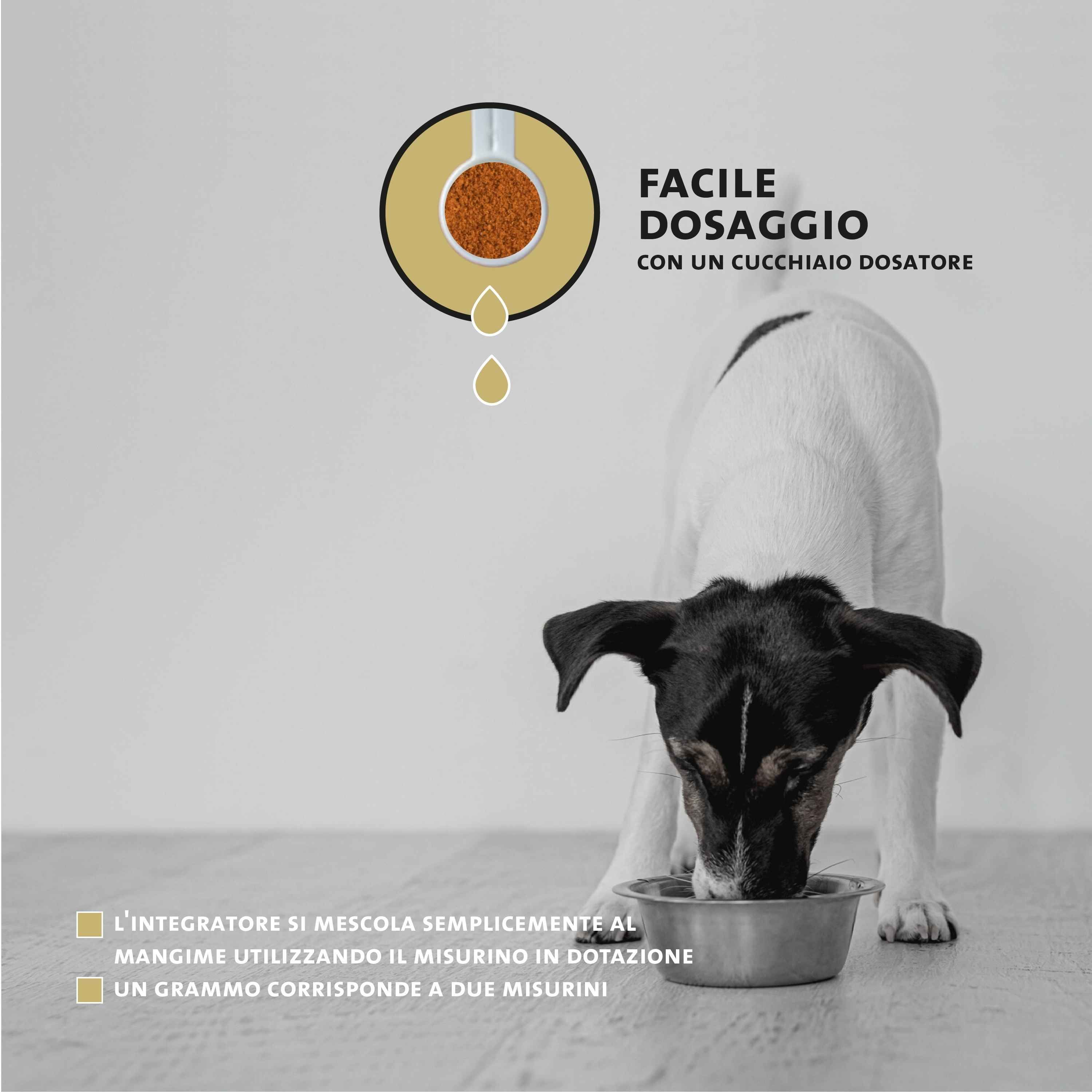 Peticare Polvere di fitocomposti secondari per cani, facile da usare.