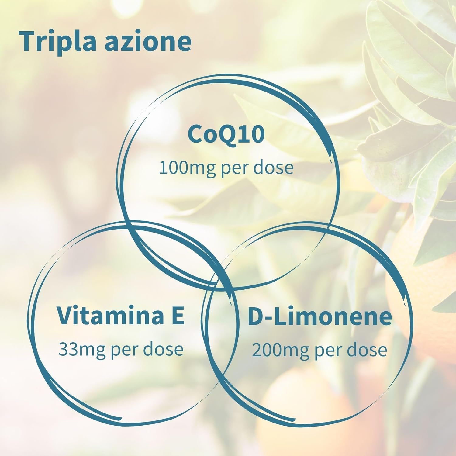 Grafico circolare che mostra gli ingredienti: CoQ10, vitamina E, D-Limonene.